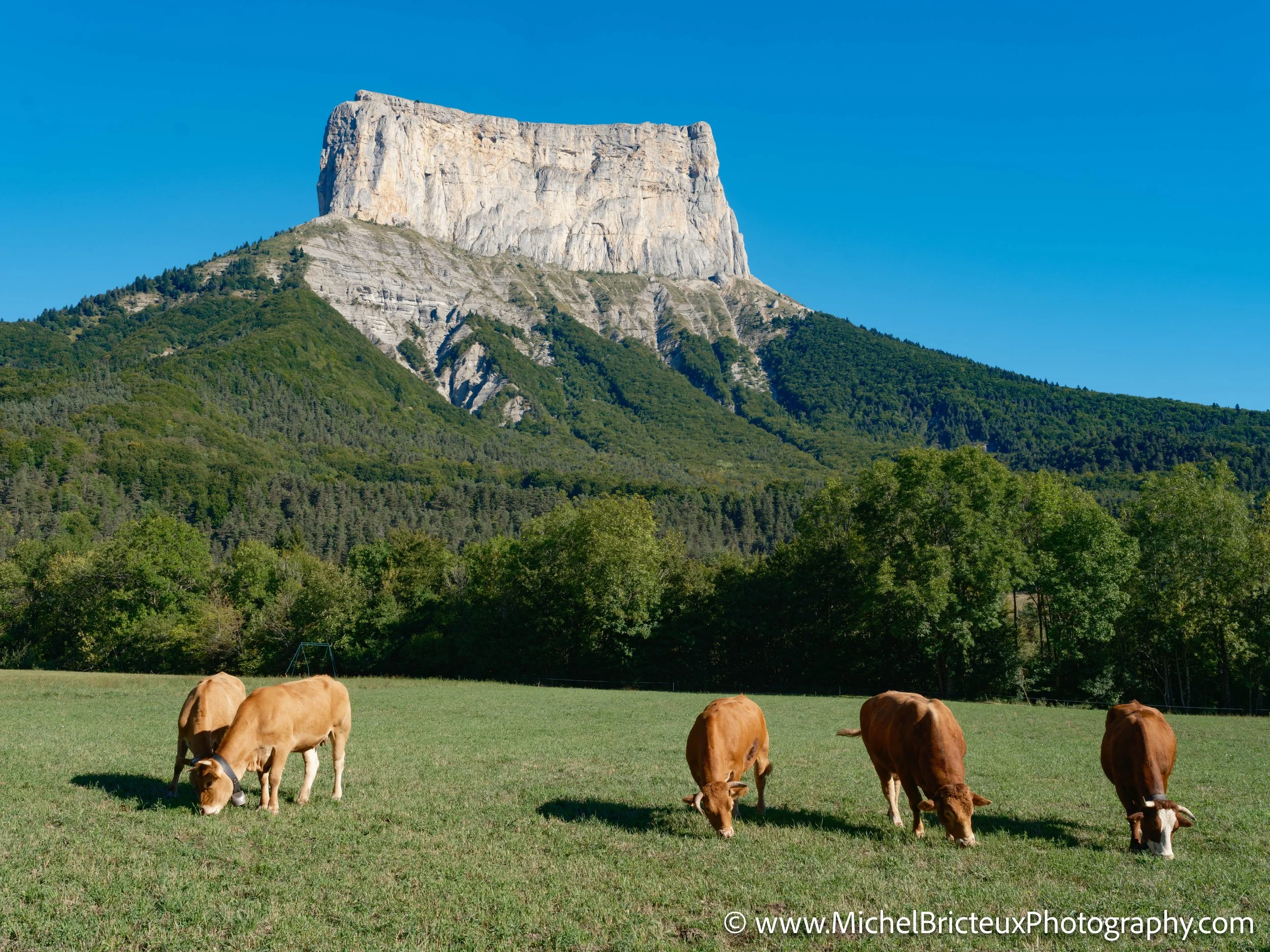 FR-Mont-Aiguille 0095 LowRes.jpg