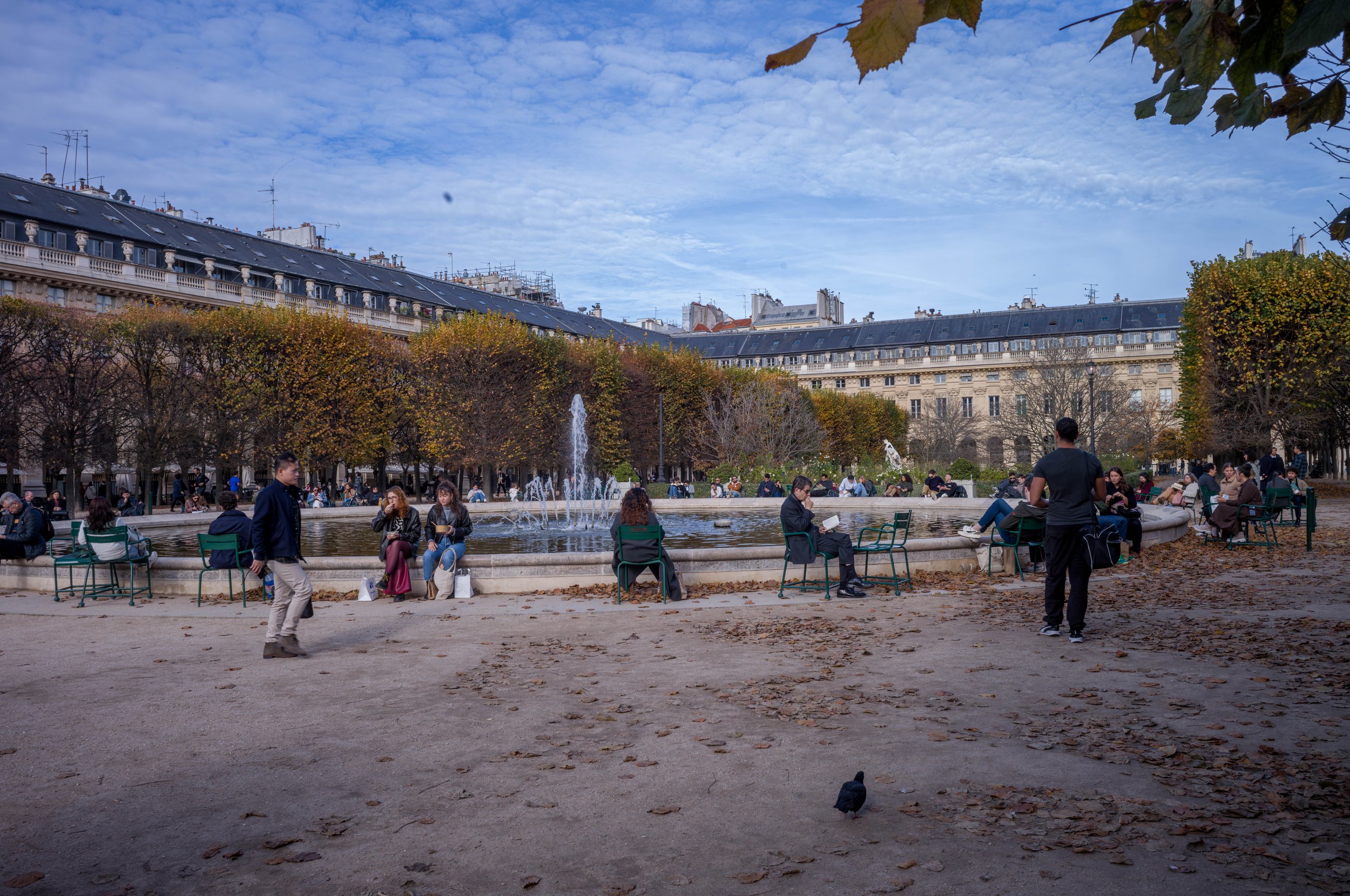 FR-Paris 11-2025 1001189 LowRes.jpg