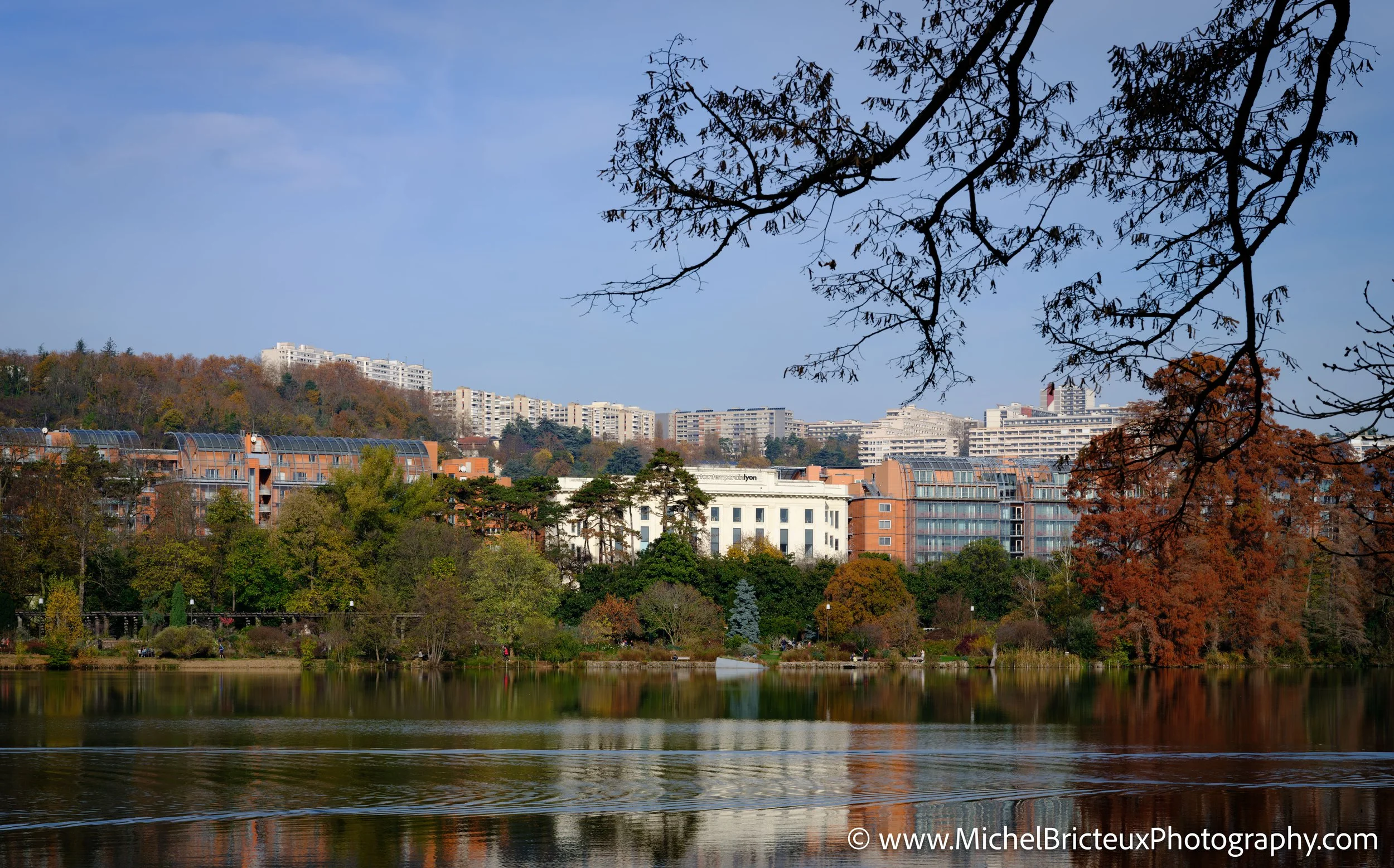 FR-Lyon - Le Chat a la Tete-d'Or 0065 LowRes.jpg