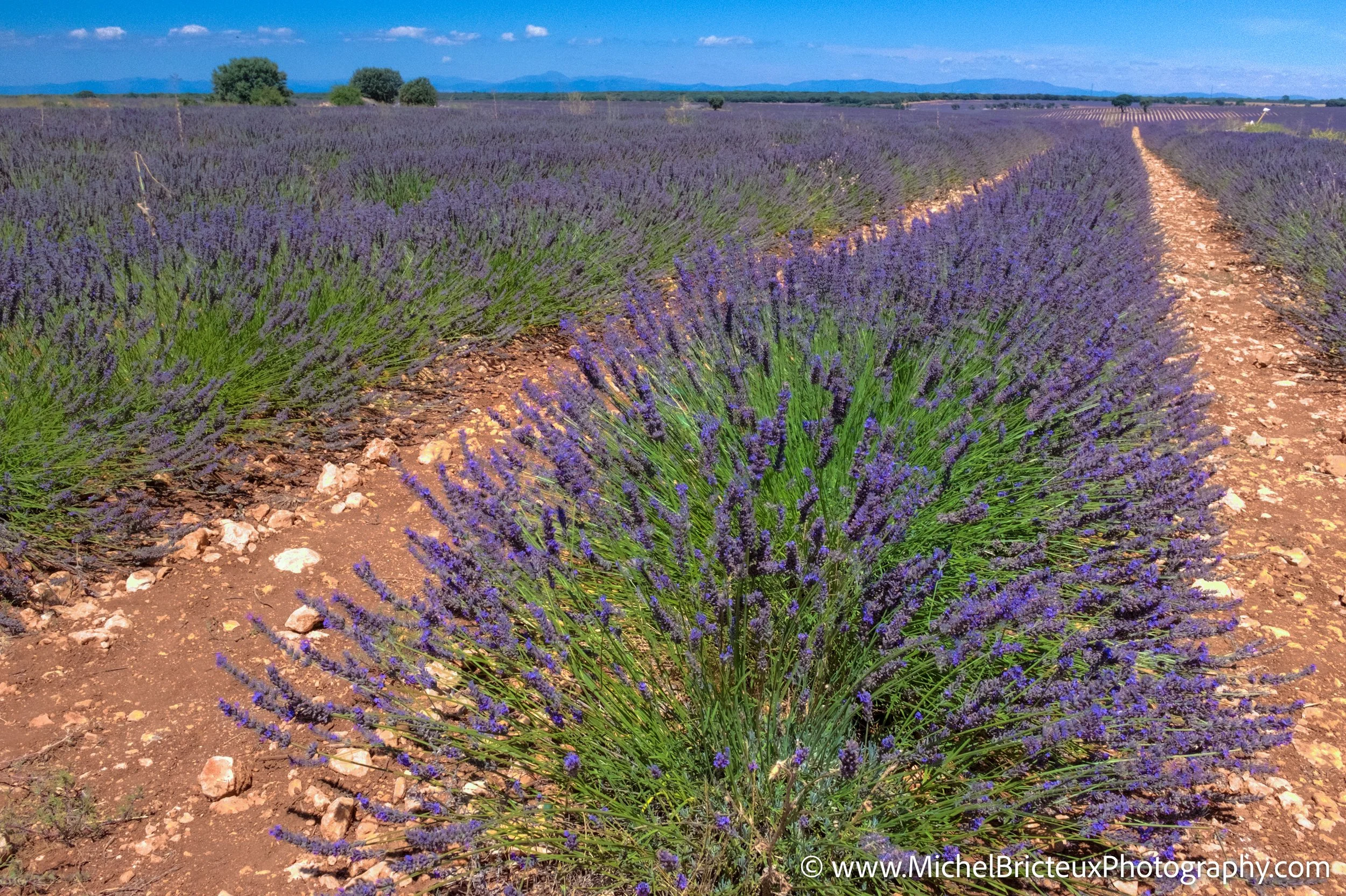 ES-Brihuega 2015 3990_89_91 LowRes.jpg