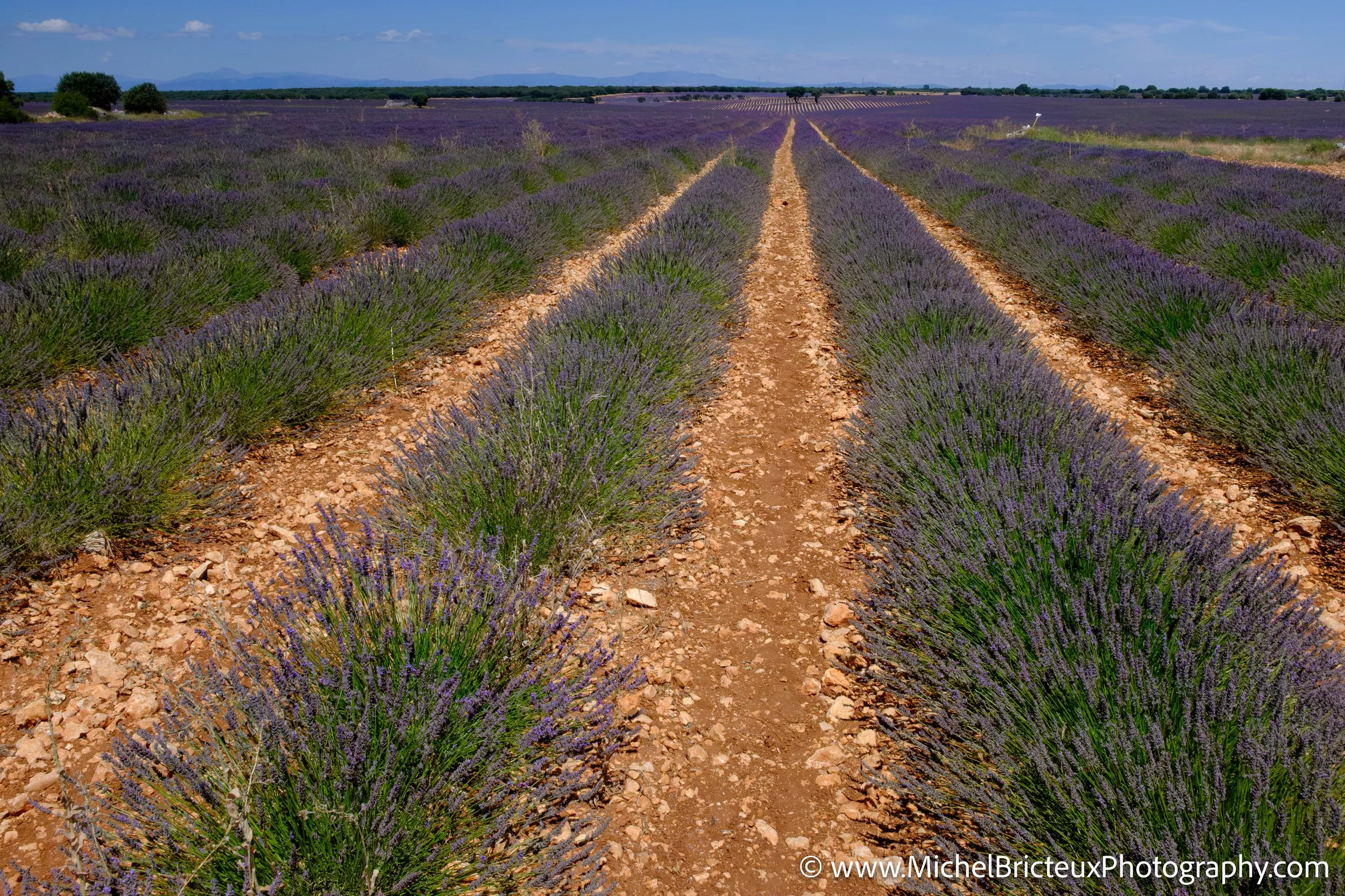 ES-Brihuega 2015 4005 LowRes.jpg