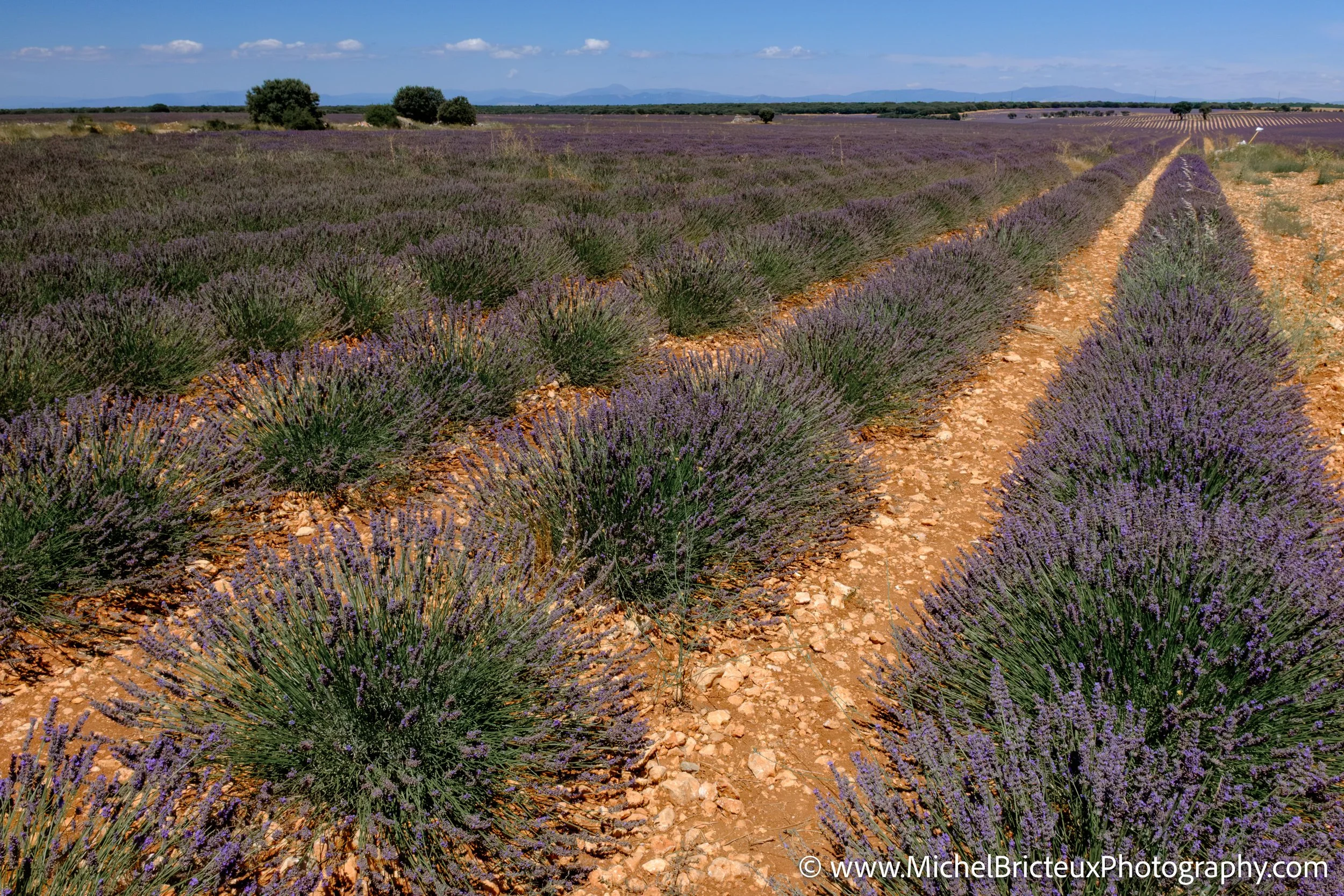 ES-Brihuega 2015 4002 LowRes.jpg