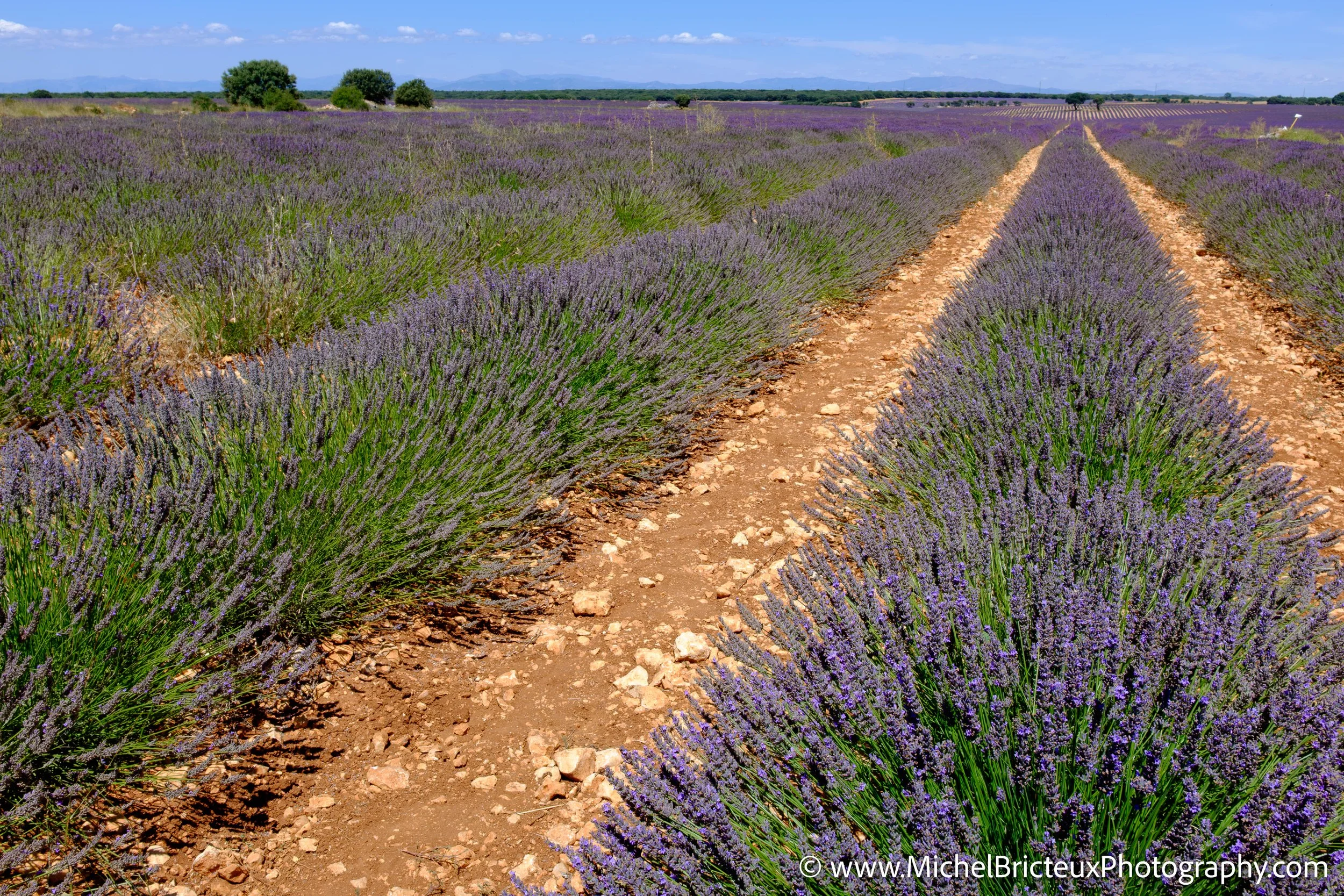 ES-Brihuega 2015 4029 LowRes.jpg