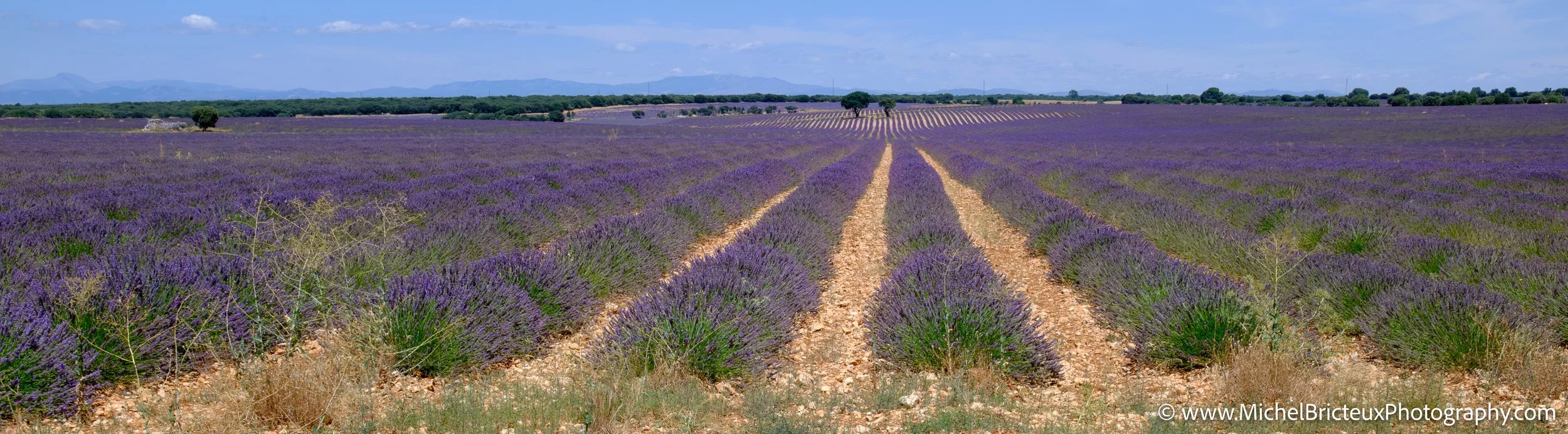 ES-Brihuega 2015 4041 LowRes.jpg