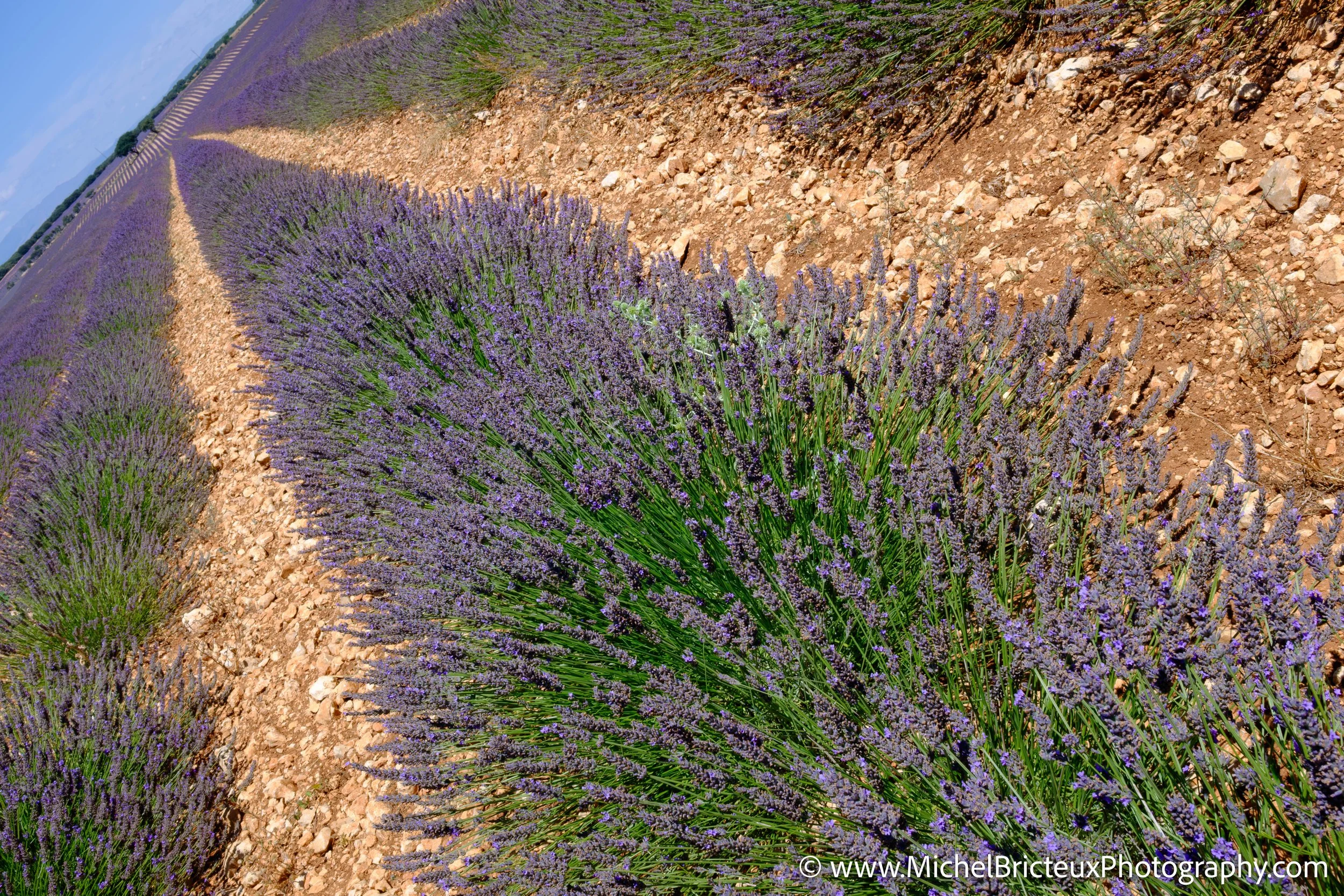 ES-Brihuega 2015 4056 LowRes.jpg