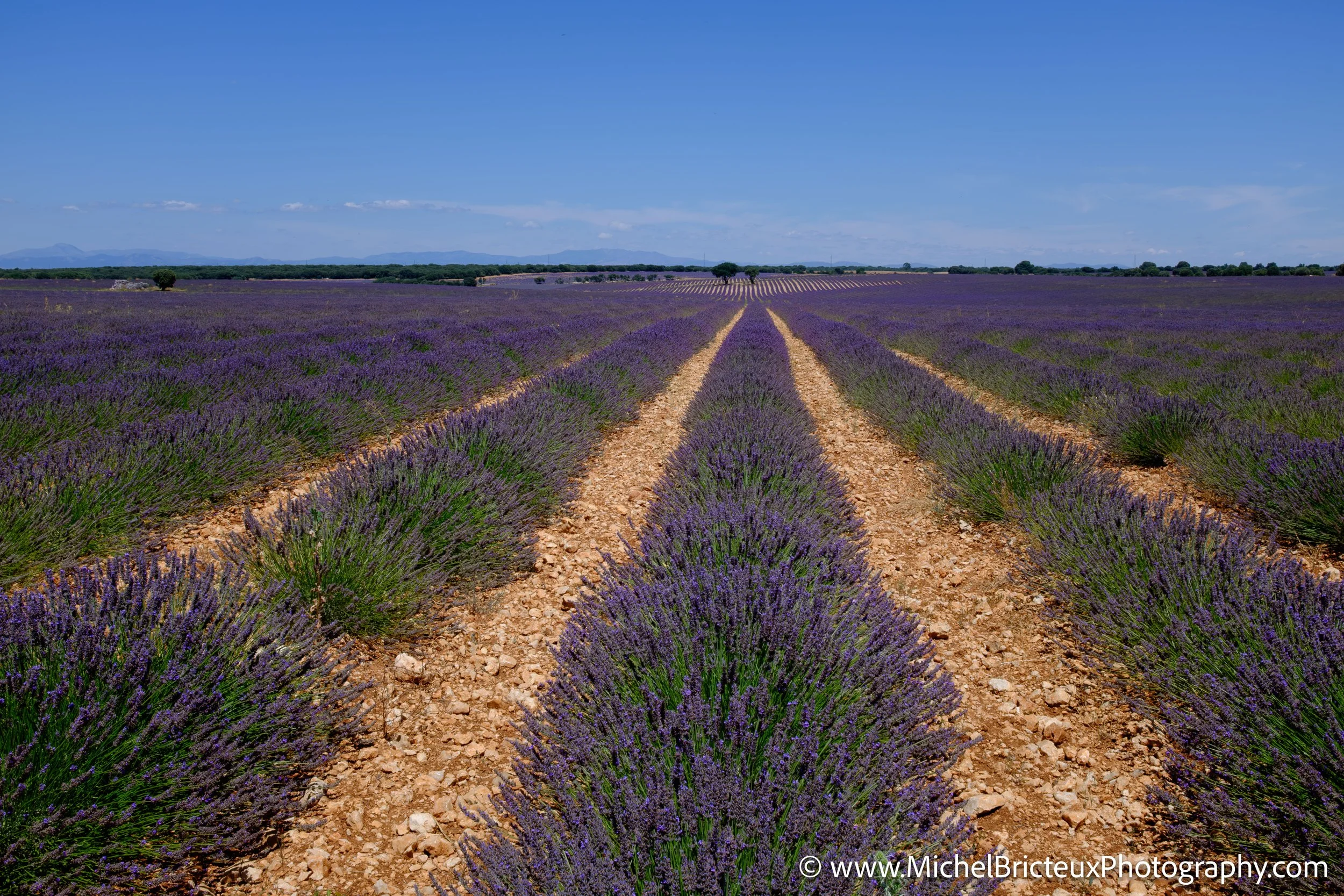 ES-Brihuega 2015 4067 LowRes.jpg