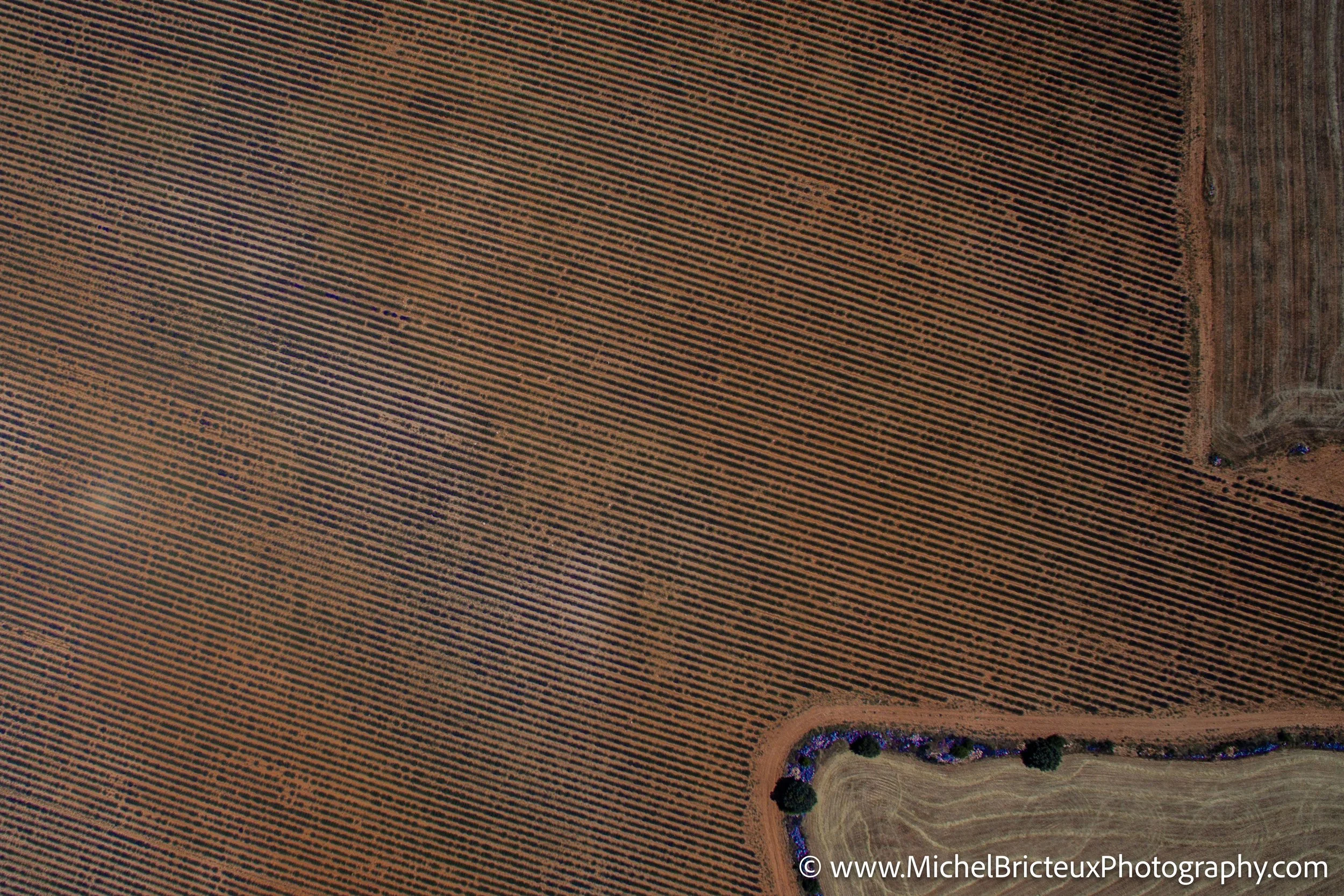 ES-Brihuega 2015 0032 LowRes.jpg