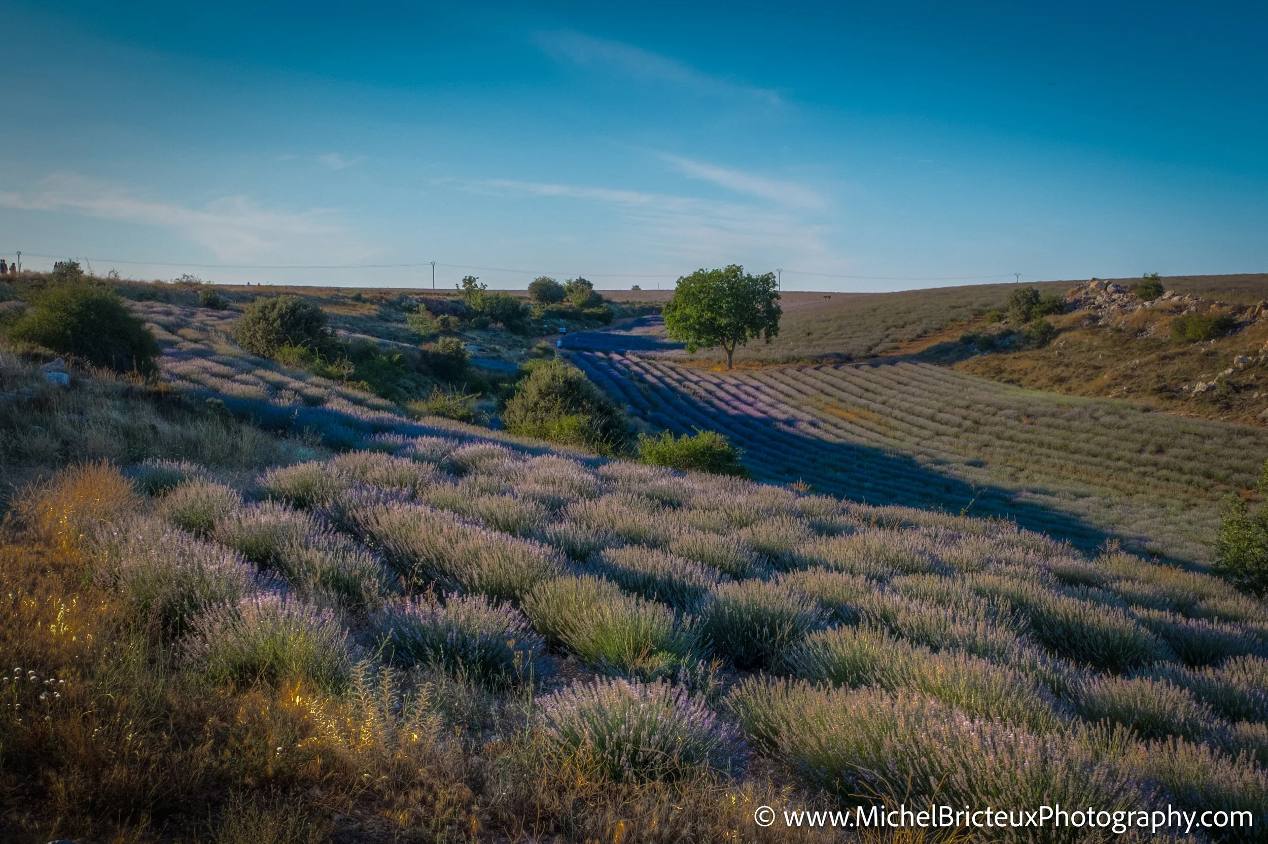 ES-Brihuega 2015 4210_09_11 LowRes.jpg