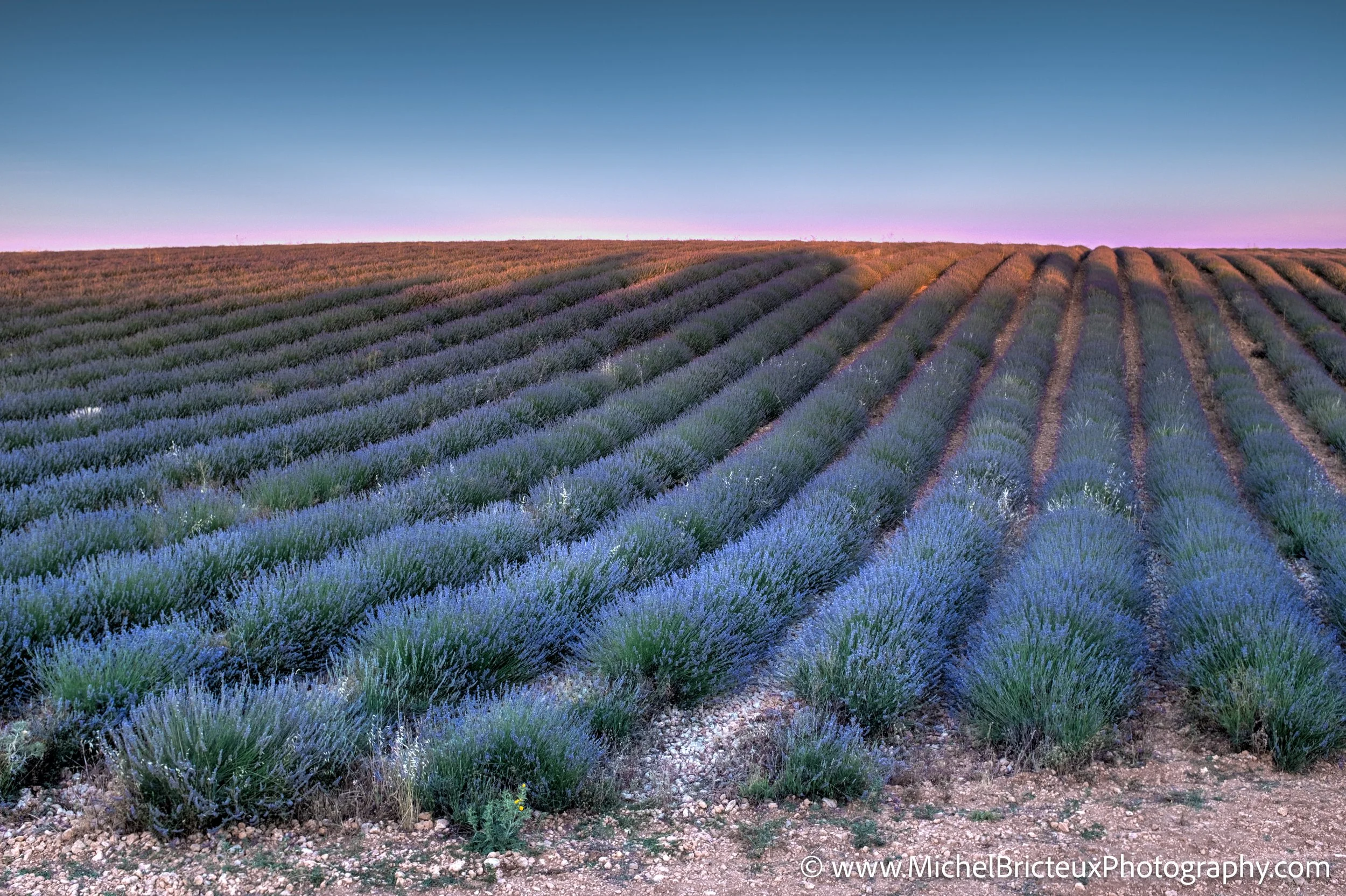 ES-Brihuega 2015 4234_3_5 LowRes.jpg