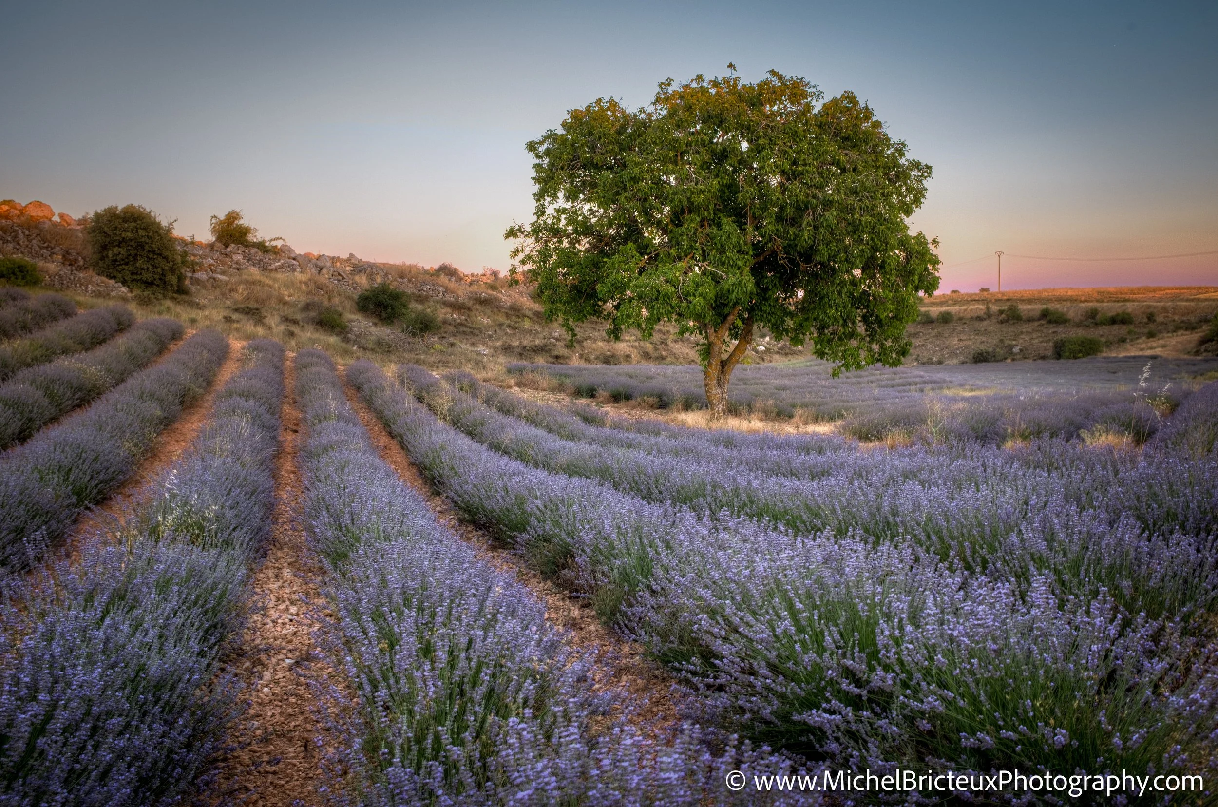 ES-Brihuega 2015 4248_49_50 LowRes.jpg