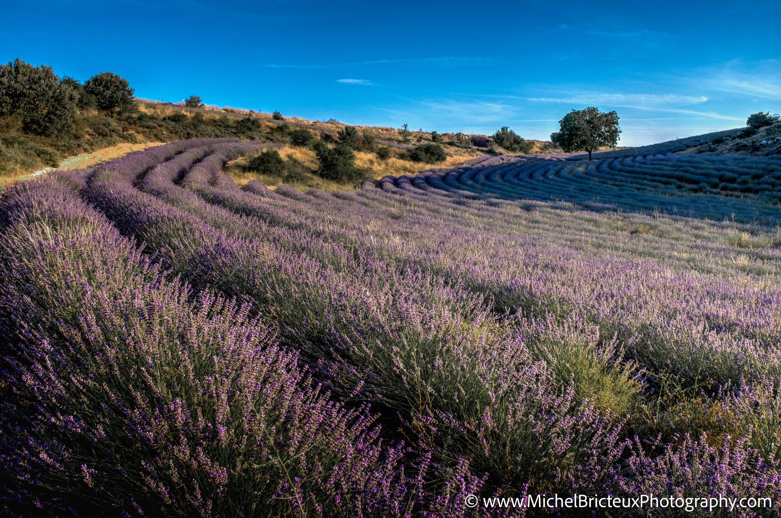 ES-Brihuega 2015 4281_2_3 LowRes.jpg