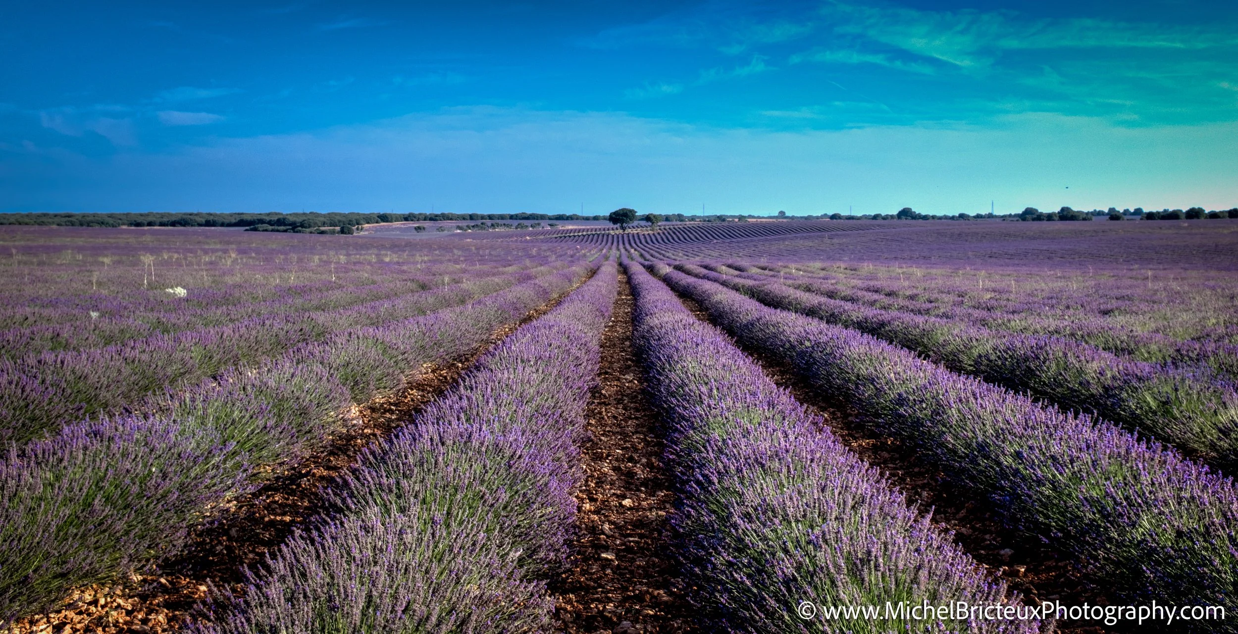 ES-Brihuega 2015 4311_2_3 LowRes.jpg