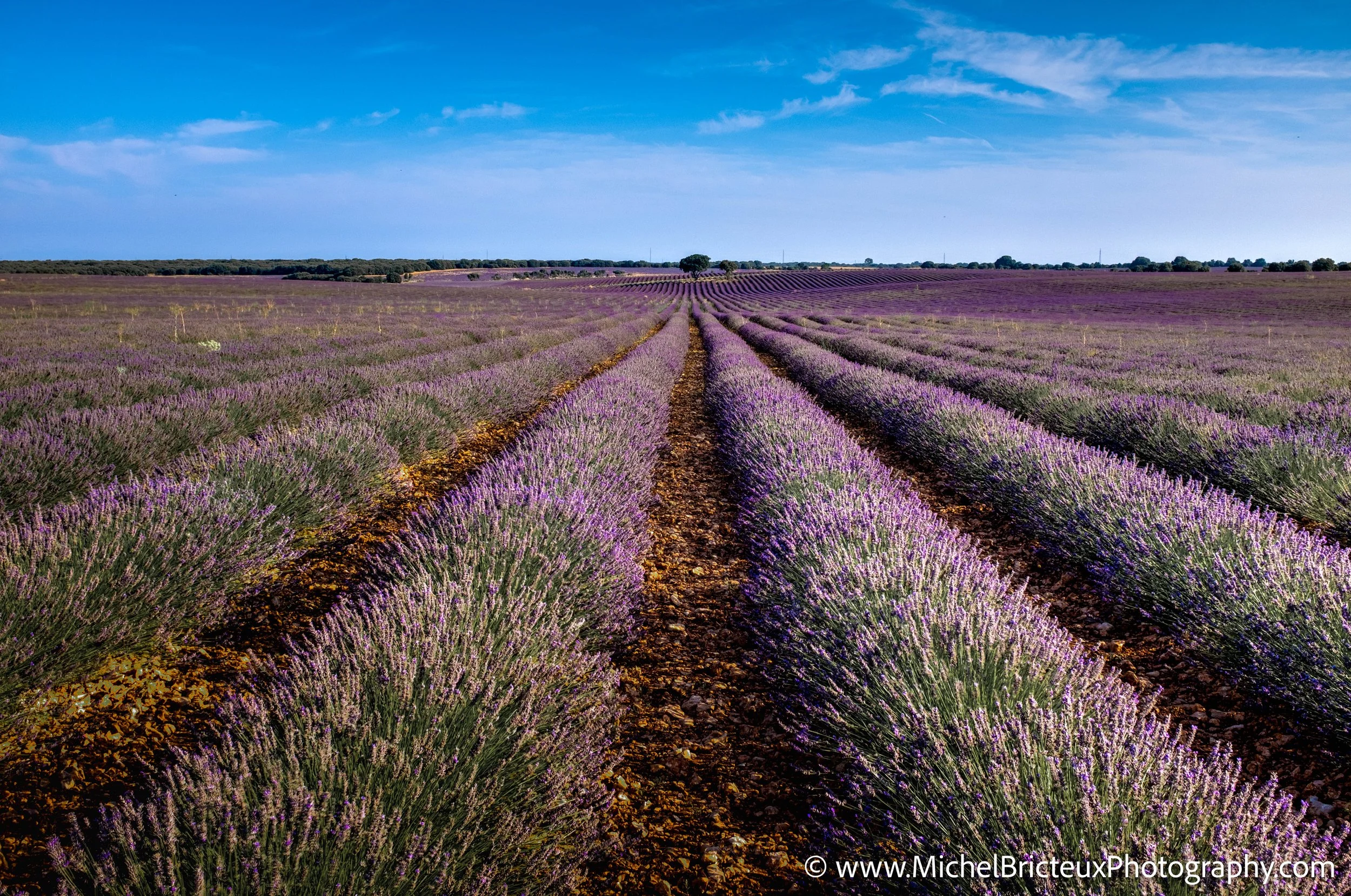 ES-Brihuega 2015 4315_4_6 LowRes.jpg