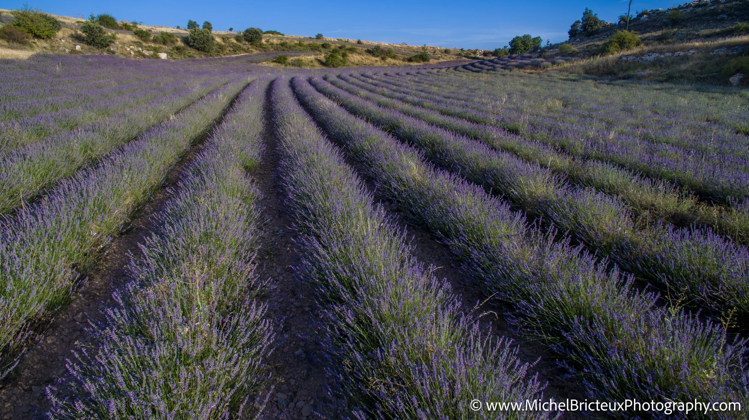 ES-Brihuega 2015 0064 LowRes.jpg