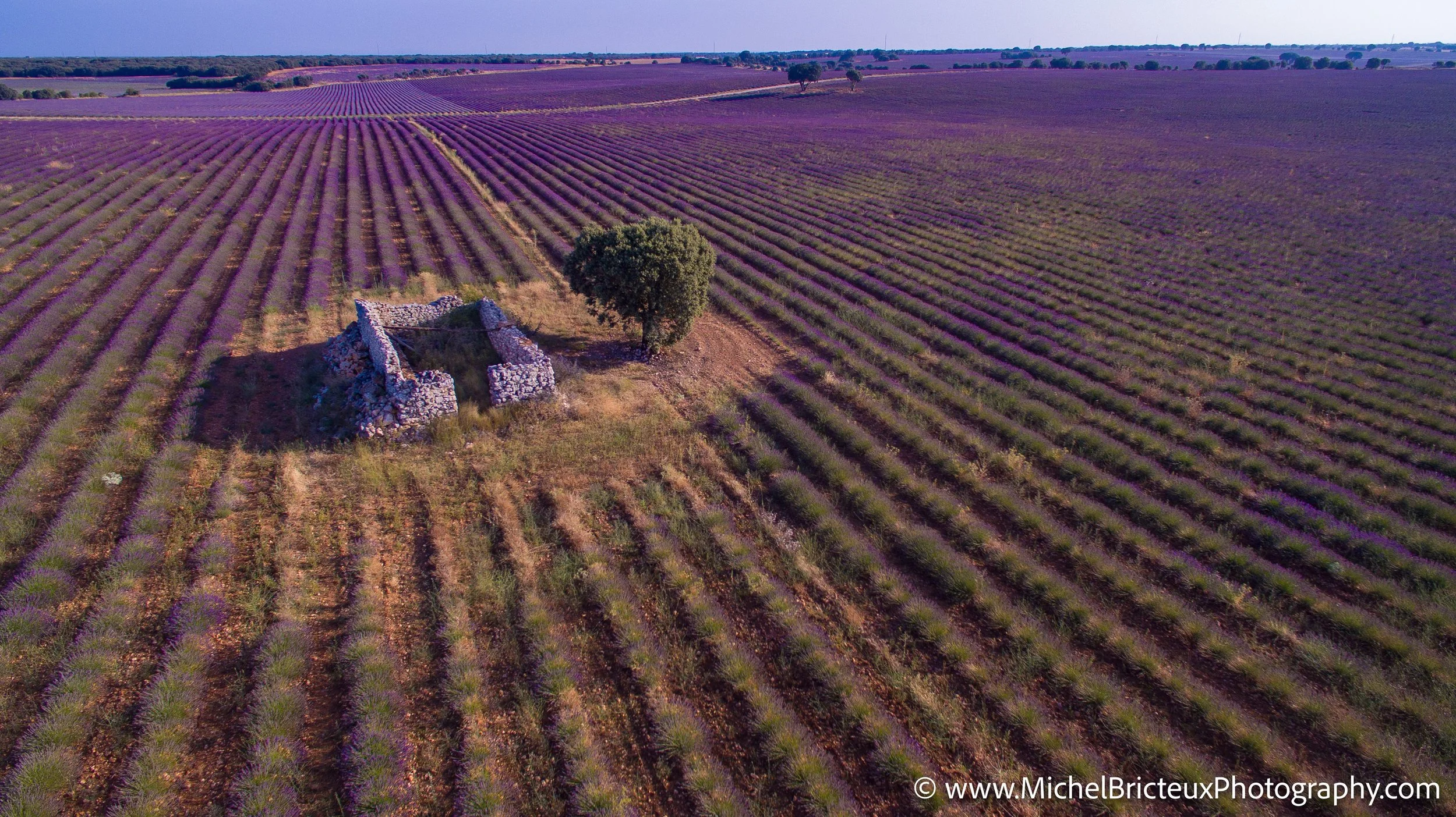 ES-Brihuega 2015 0068 LowRes.jpg