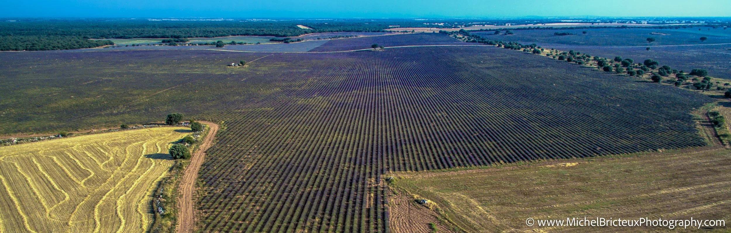 ES-Brihuega 2015 0080_tonemapped LowRes.jpg