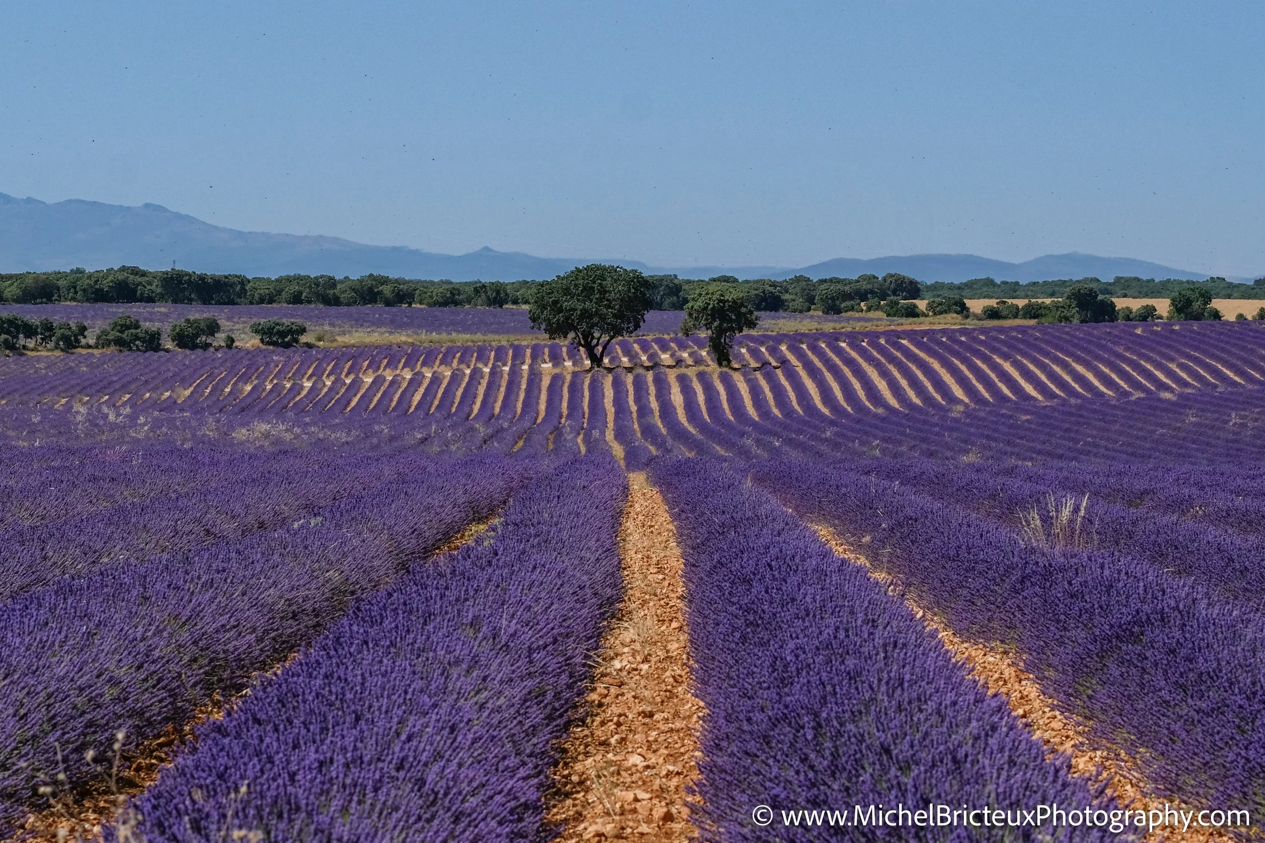 ES-Brihuega 2016 JPEG 0364-Edit LowRes.jpg