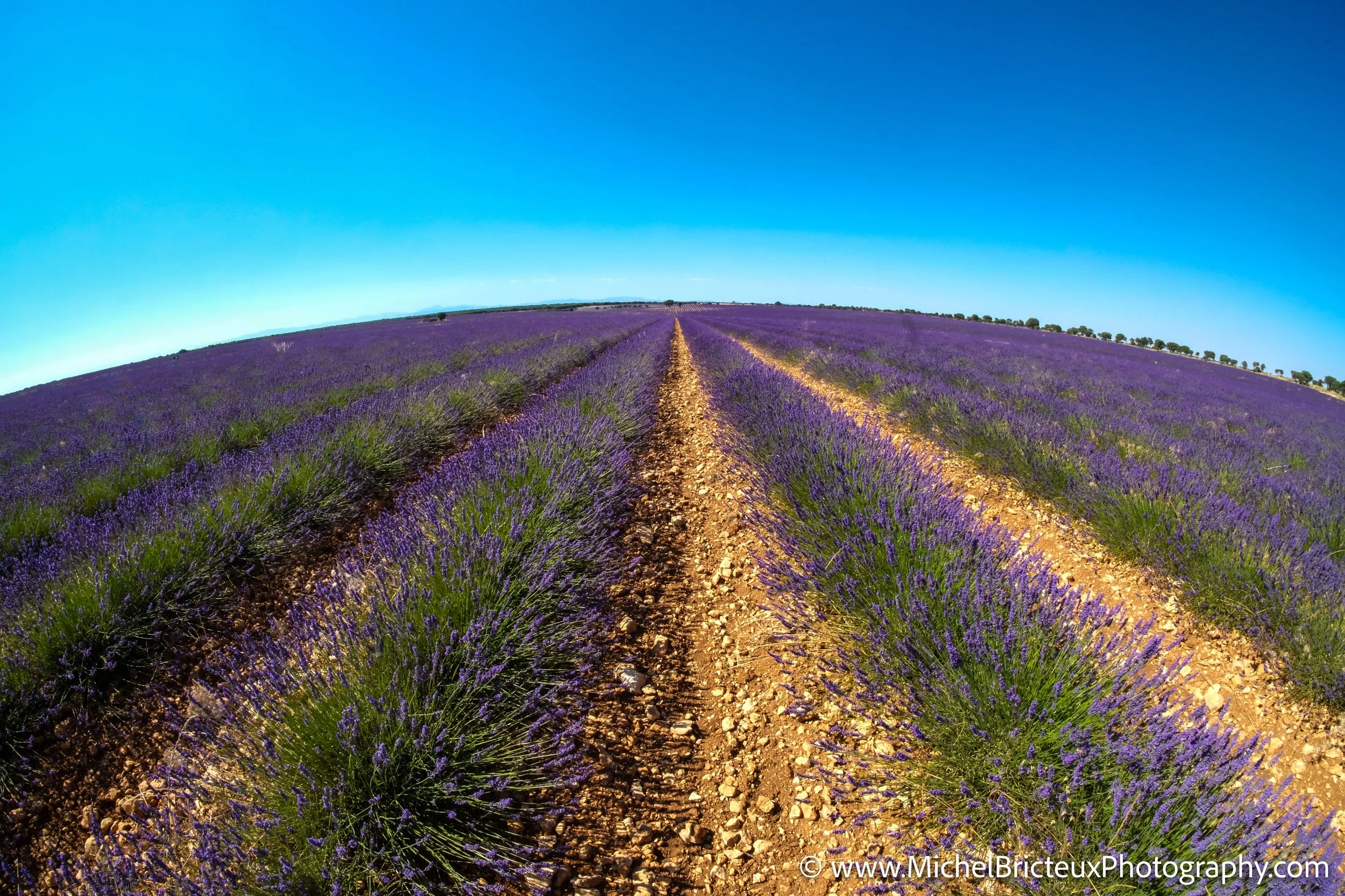 ES-Brihuega 2016 JPEG 0461 LowRes.jpg