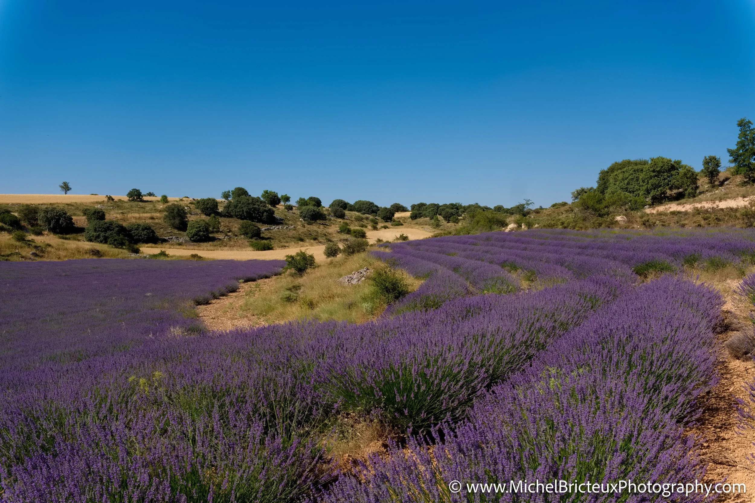 ES-Brihuega 2016 RAF 0503 Iridient LowRes.jpg