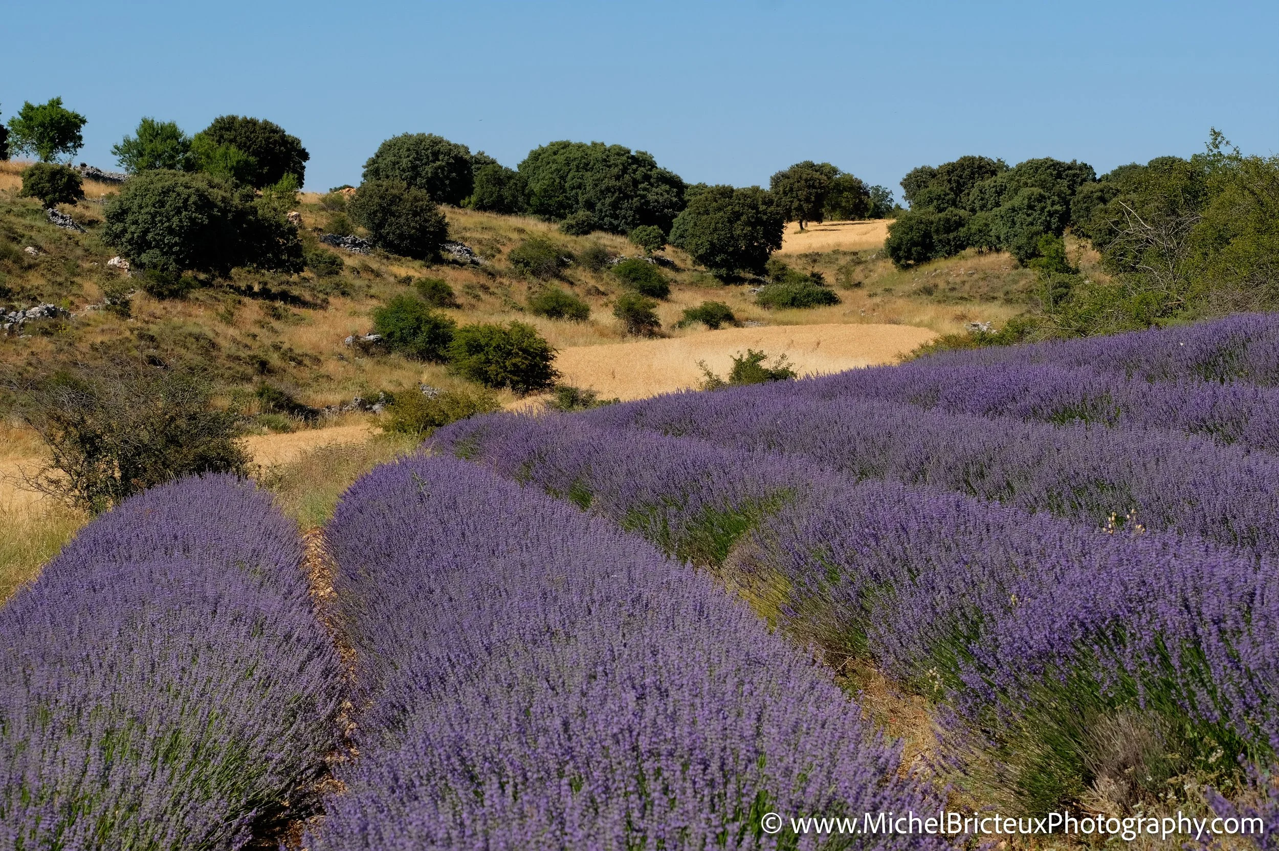 ES-Brihuega 2016 JPEG 0515_6_7 LowRes.jpg