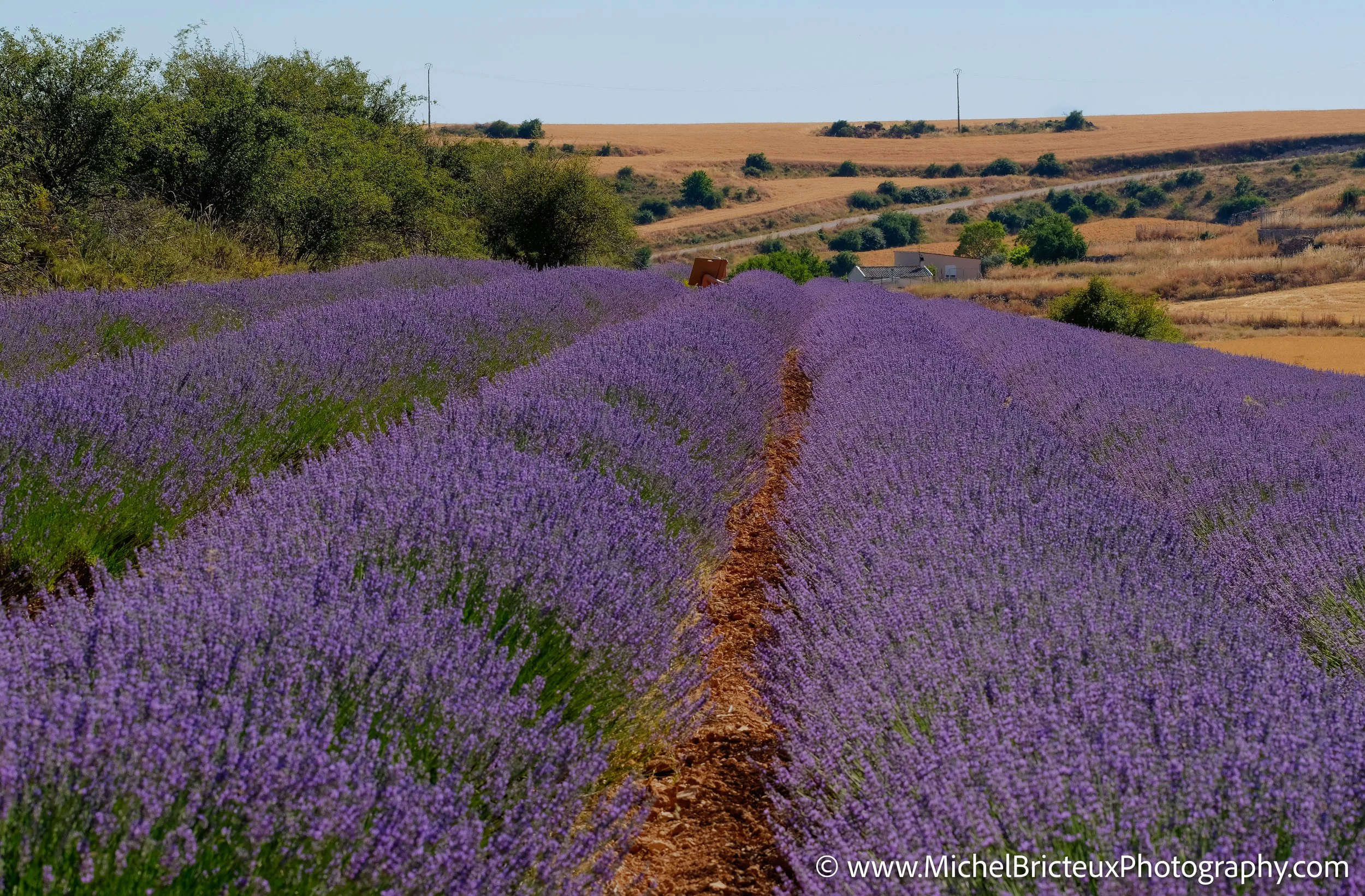 ES-Brihuega 2016 JPEG 0524_5_6-Edit LowRes.jpg