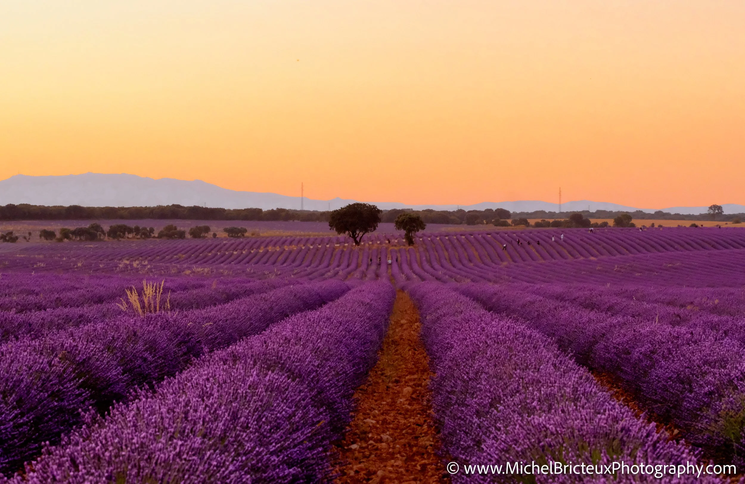 ES-Brihuega 2016 JPEG 0623_4_5 LowRes.jpg