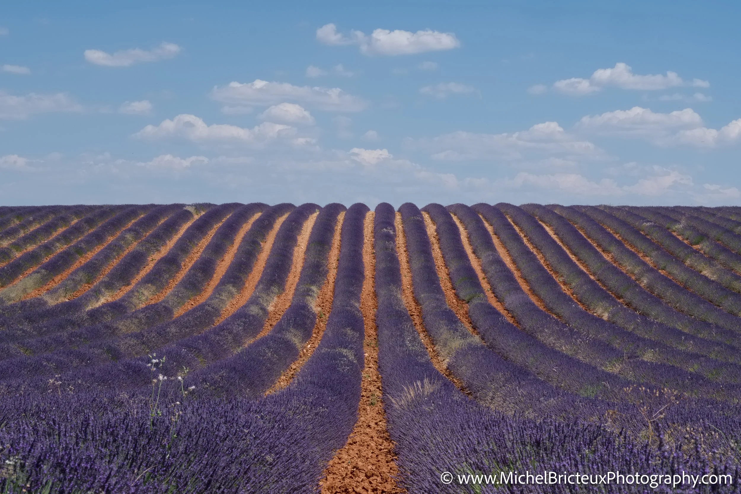 ES-Brihuega 2016 RAF 0898 LowRes.jpg