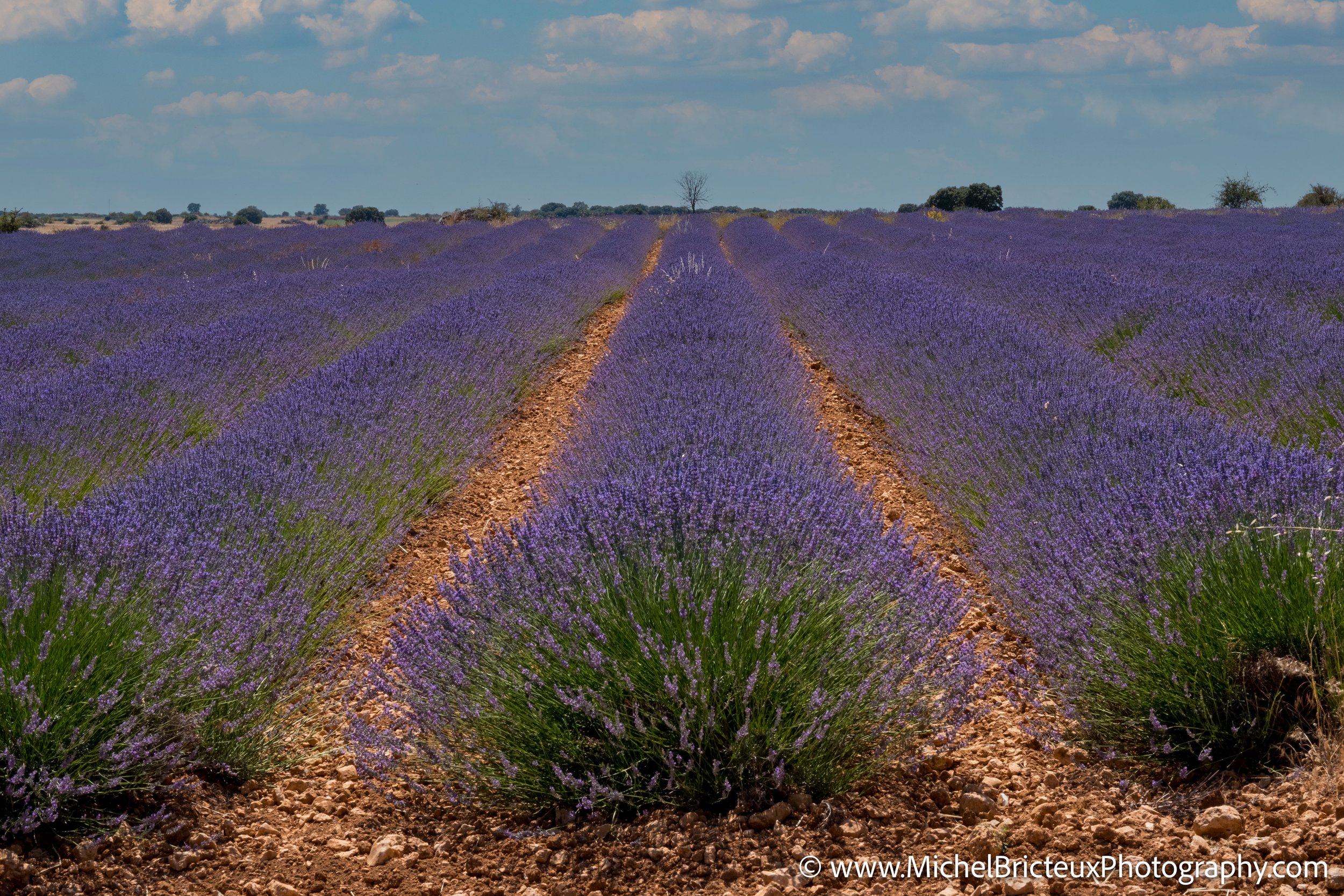 ES-Brihuega 2016 RAF 0940-Edit LowRes.jpg