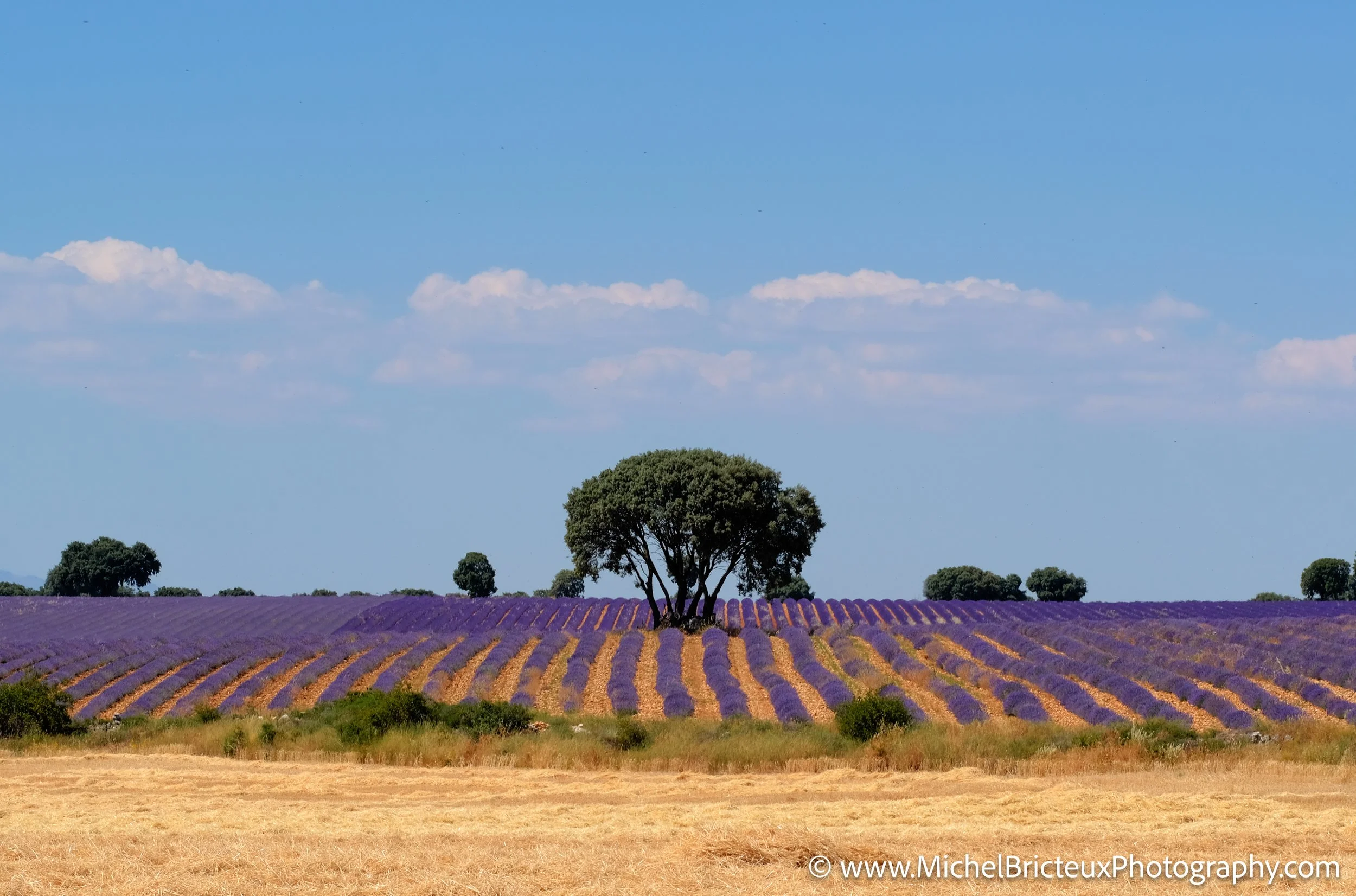 ES-Brihuega 2016 JPEG 0949_50_51-Edit LowRes.jpg