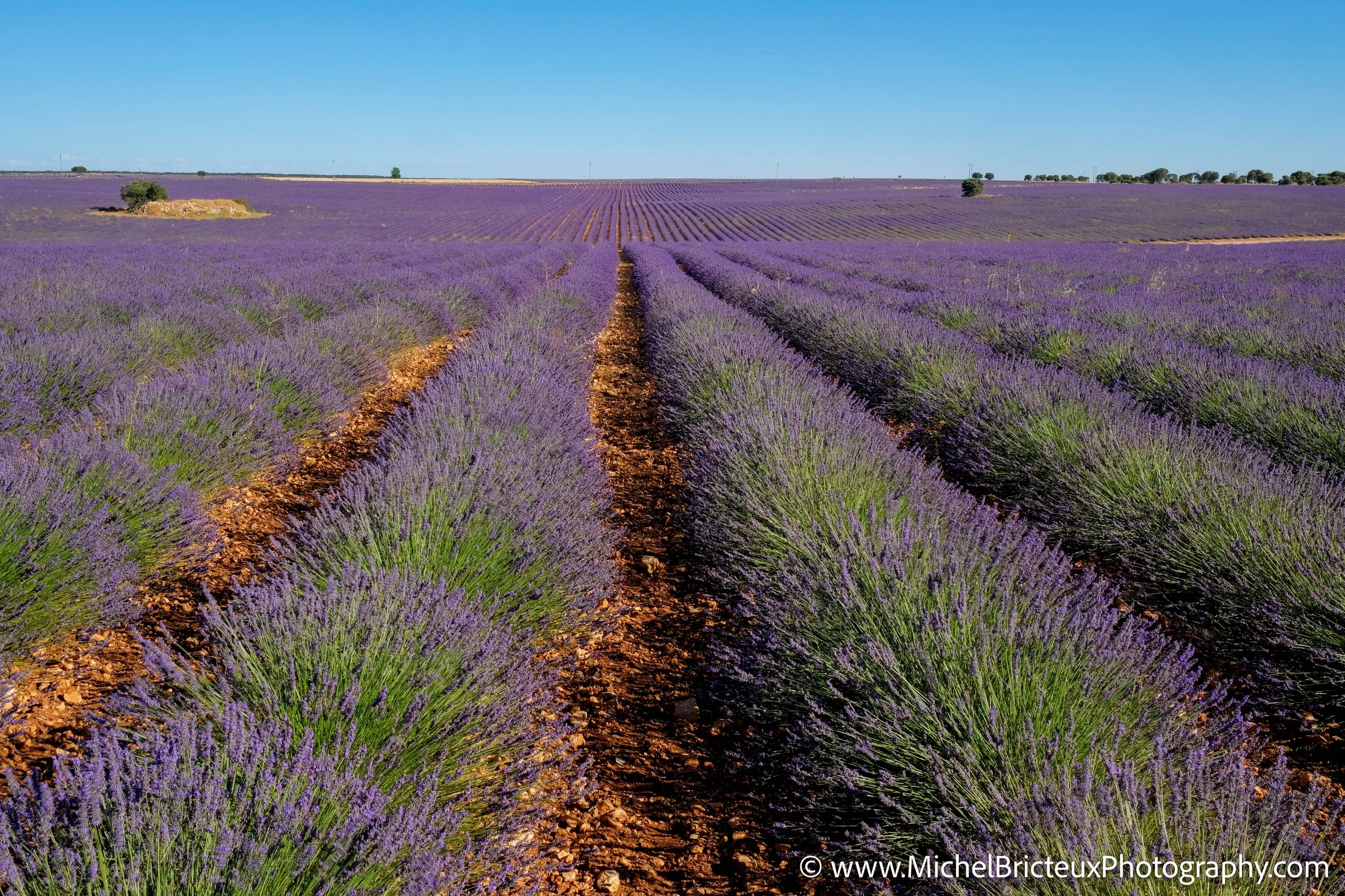 ES -Brihuega 2016 1397_8_6 LowRes.jpg