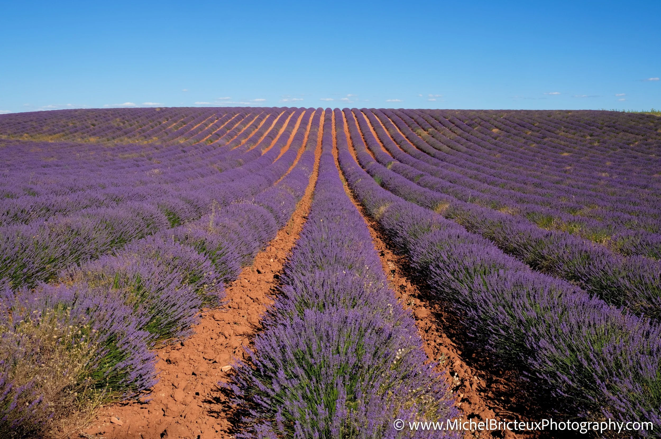 ES -Brihuega 2016 1340_39_41 LowRes.jpg