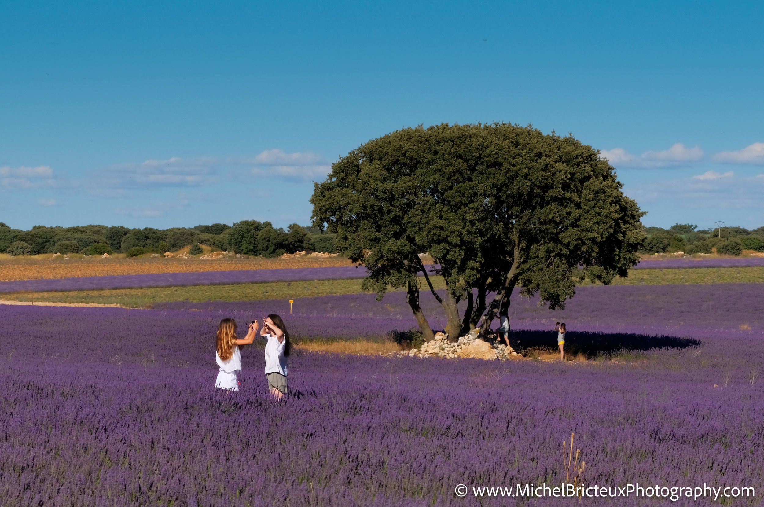 ES -Brihuega 2016 1415_6_4-Edit LowRes.jpg