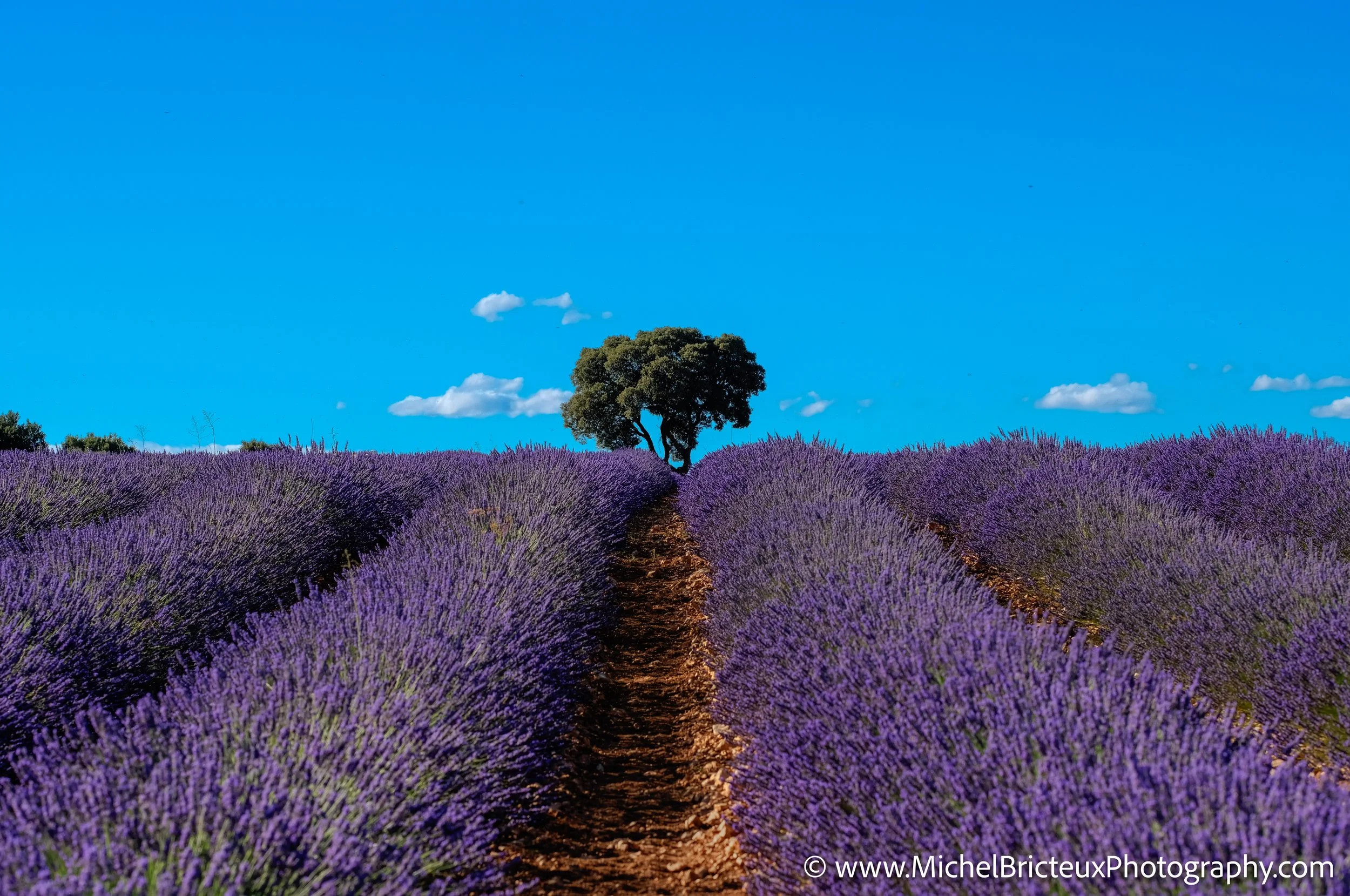 ES -Brihuega 2016 1424_3_5 LowRes.jpg