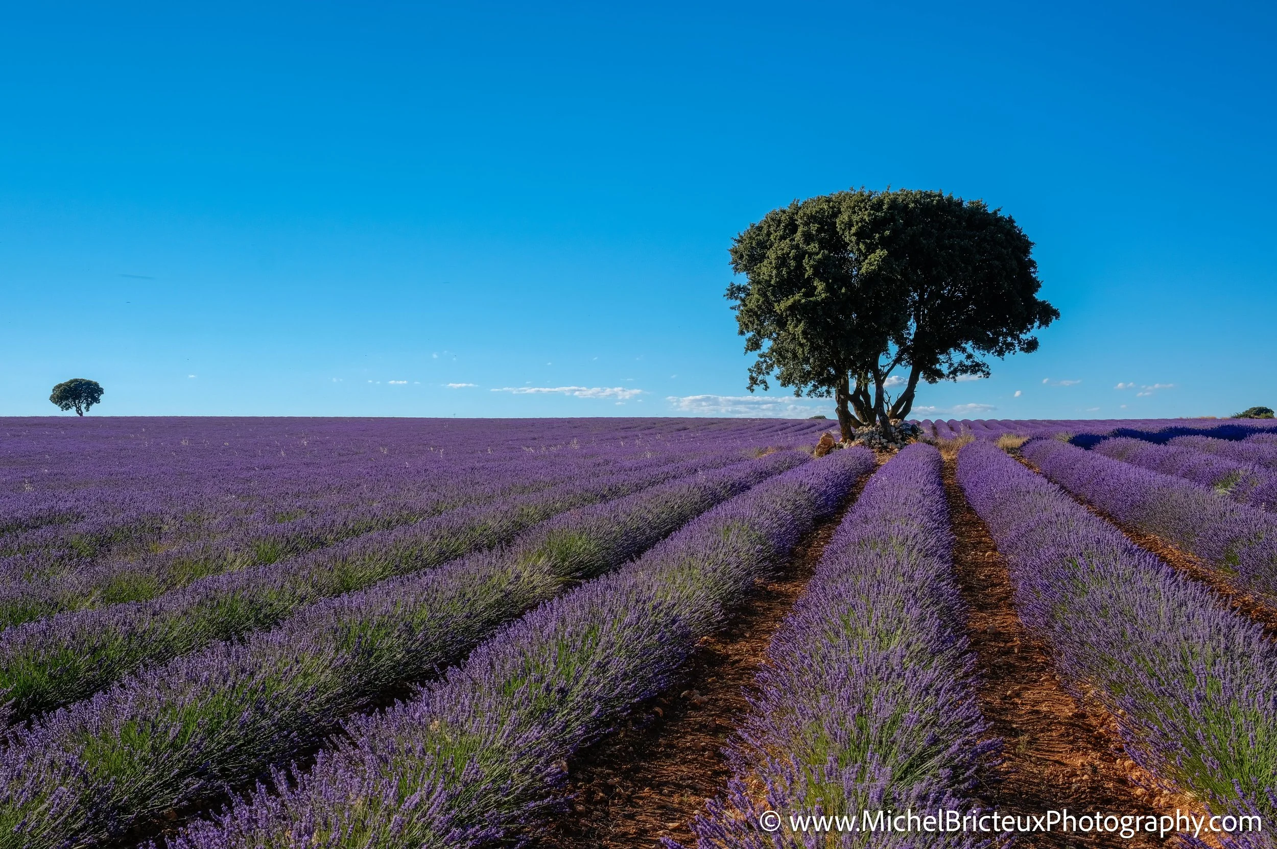 ES -Brihuega 2016 1451_2_0 LowRes.jpg