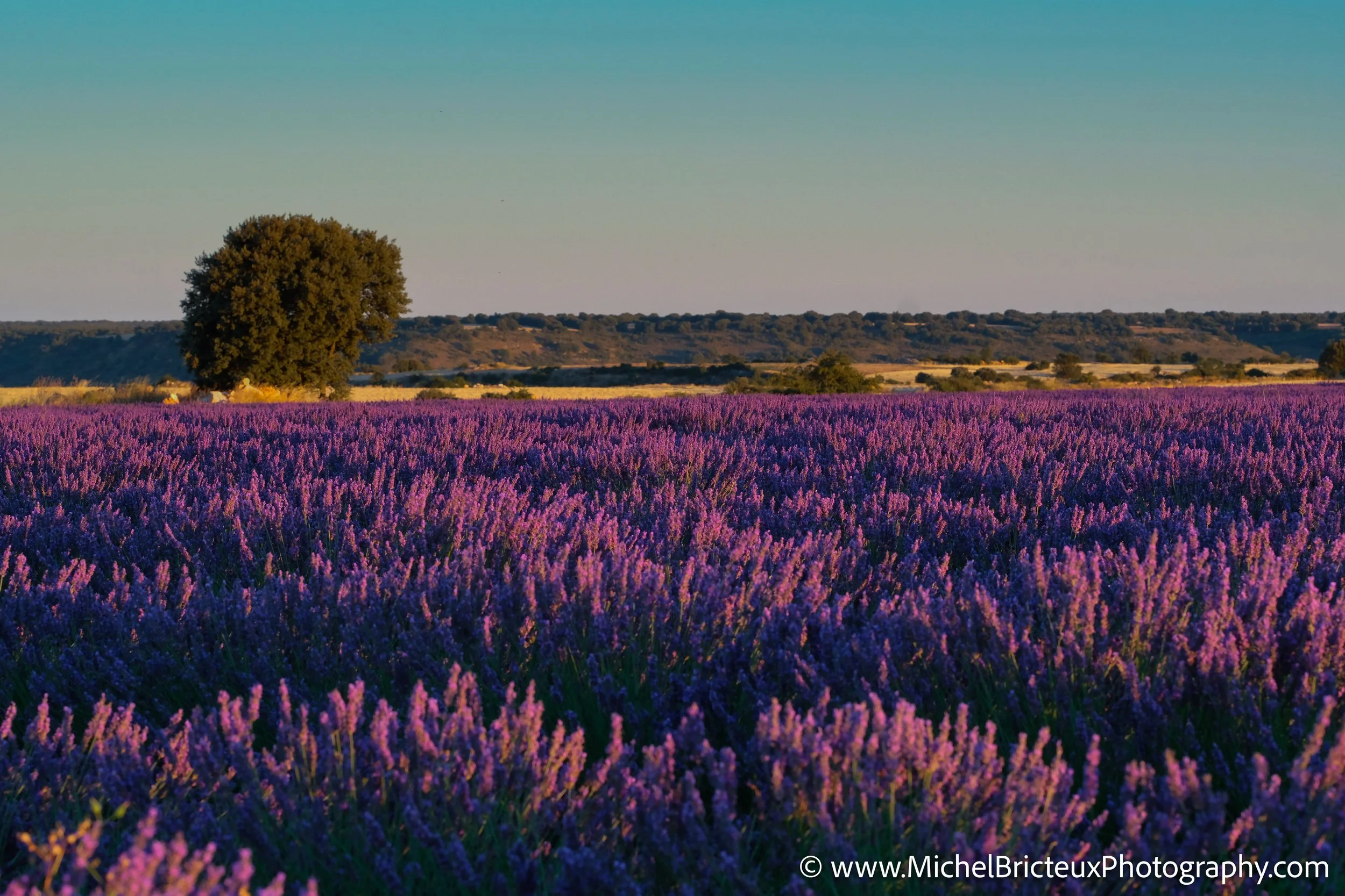 ES -Brihuega 2016 1466 LowRes.jpg