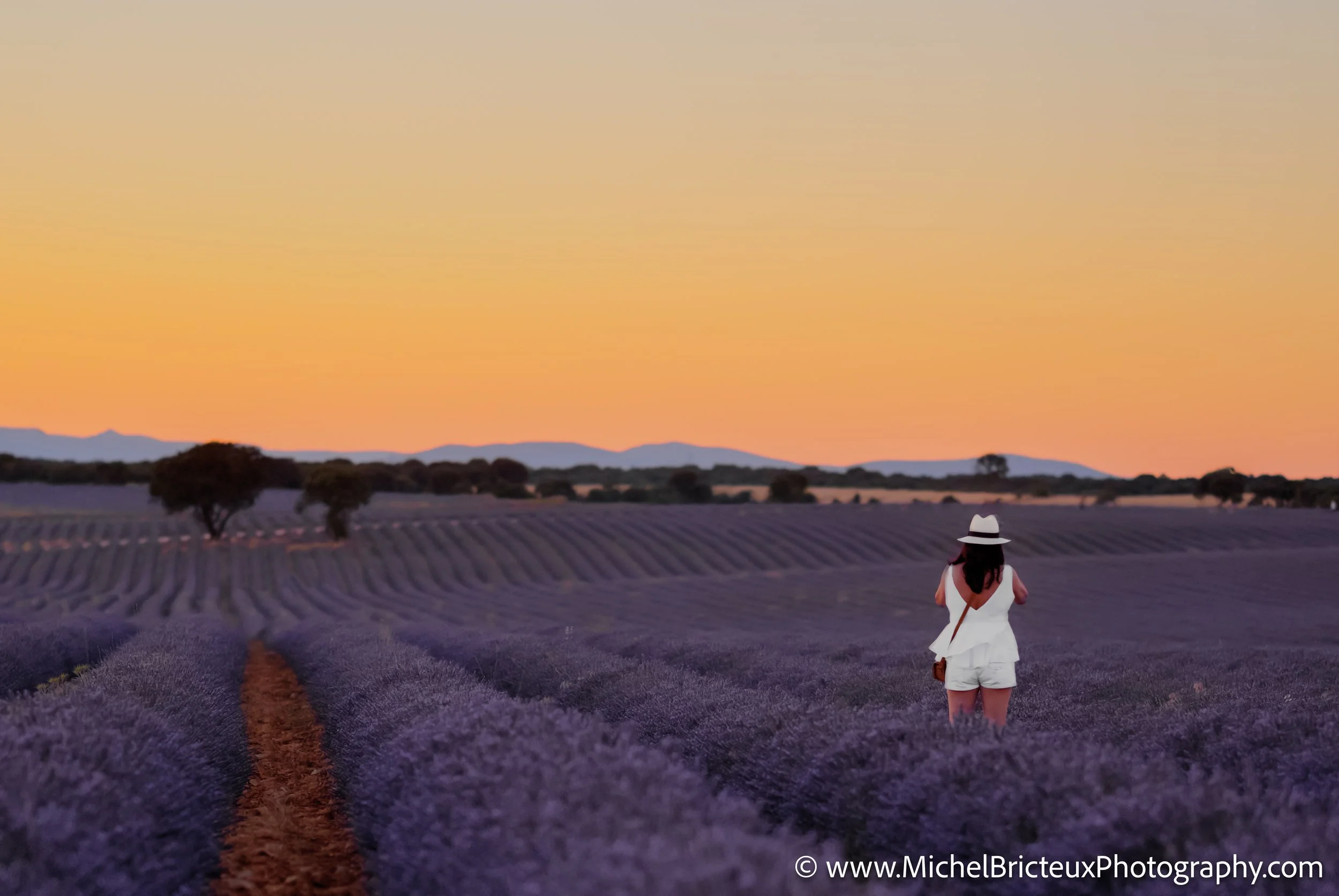 ES -Brihuega 2016 1545_3_4-2-Edit LowRes.jpg