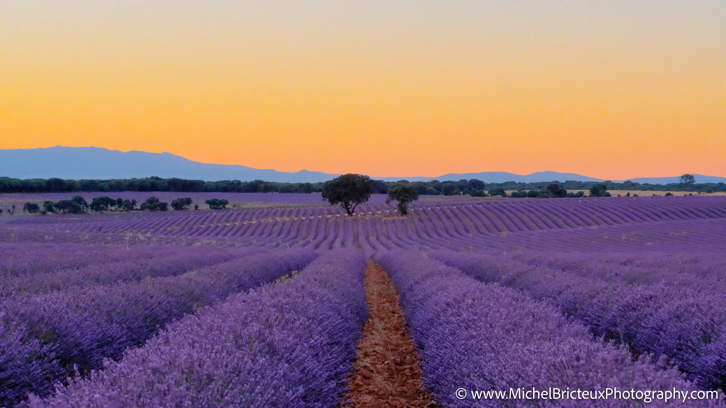 ES -Brihuega 2016 1561_2_3-Edit LowRes.jpg