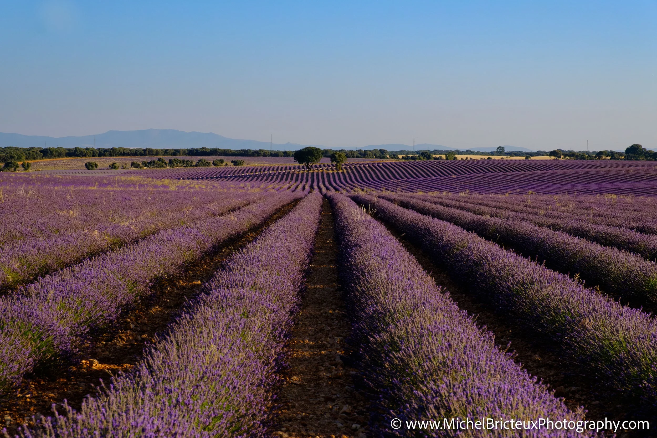 ES-Brihuega 2017 1886-Enhanced-NR LowRes.jpg
