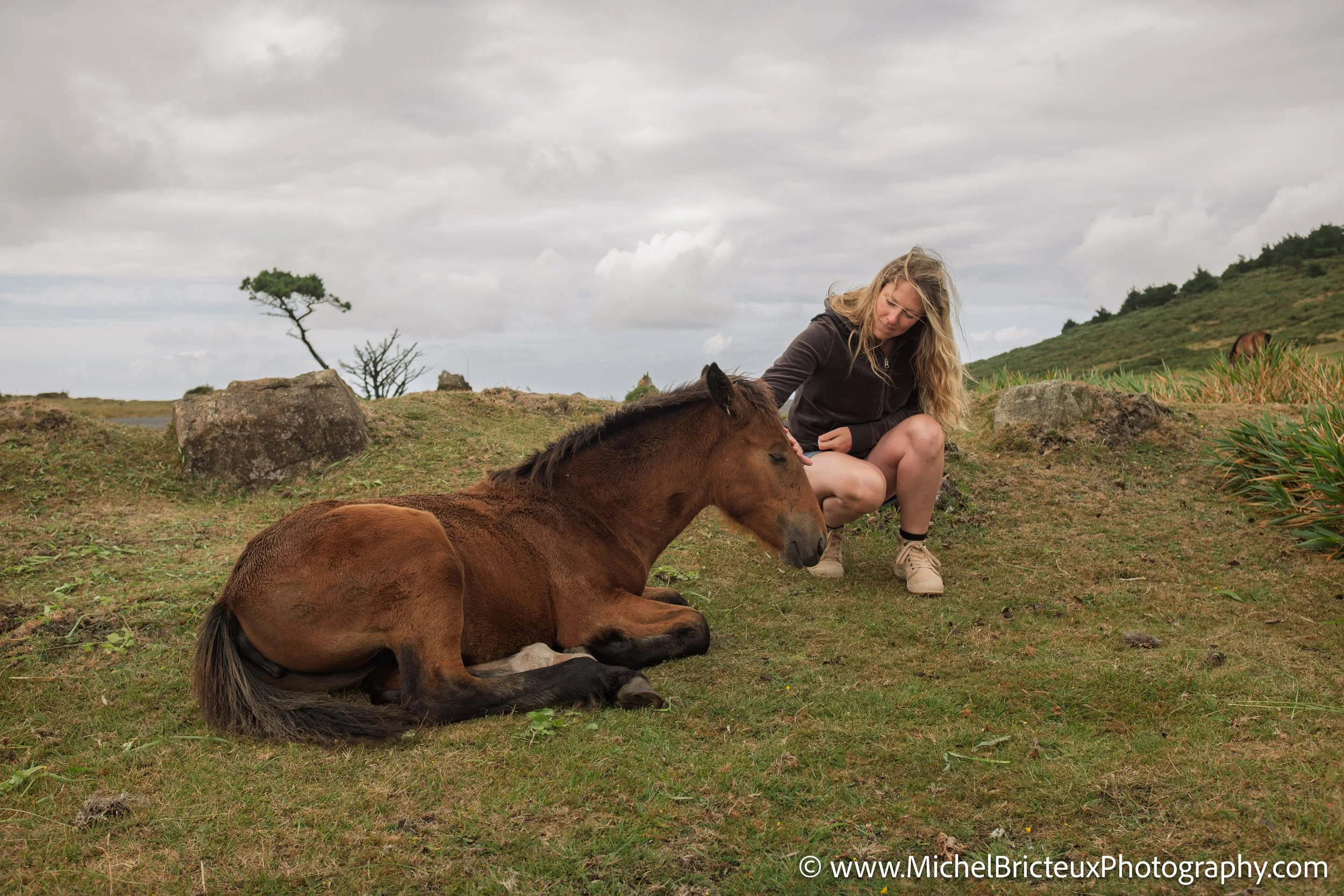 Los últimos caballos salvajes de la Serra da Groba