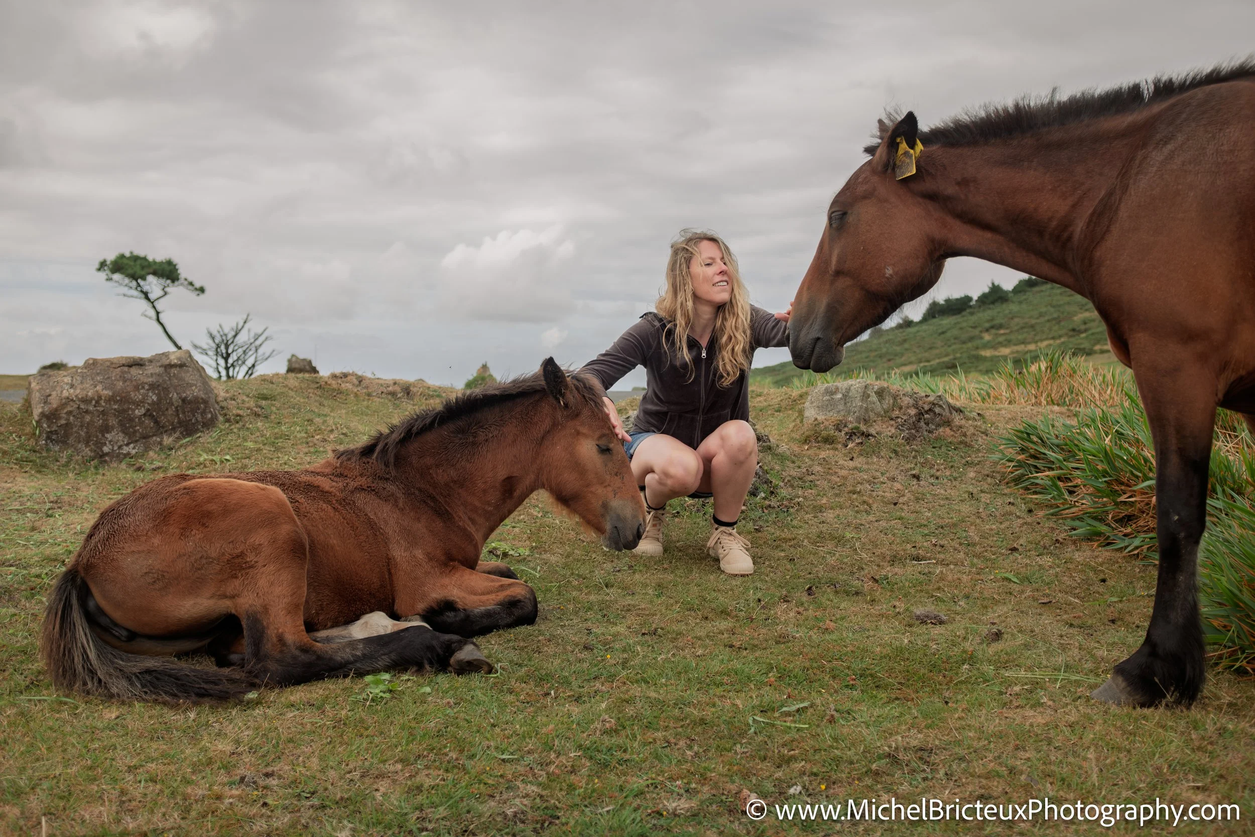 Los últimos caballos salvajes de la Serra da Groba