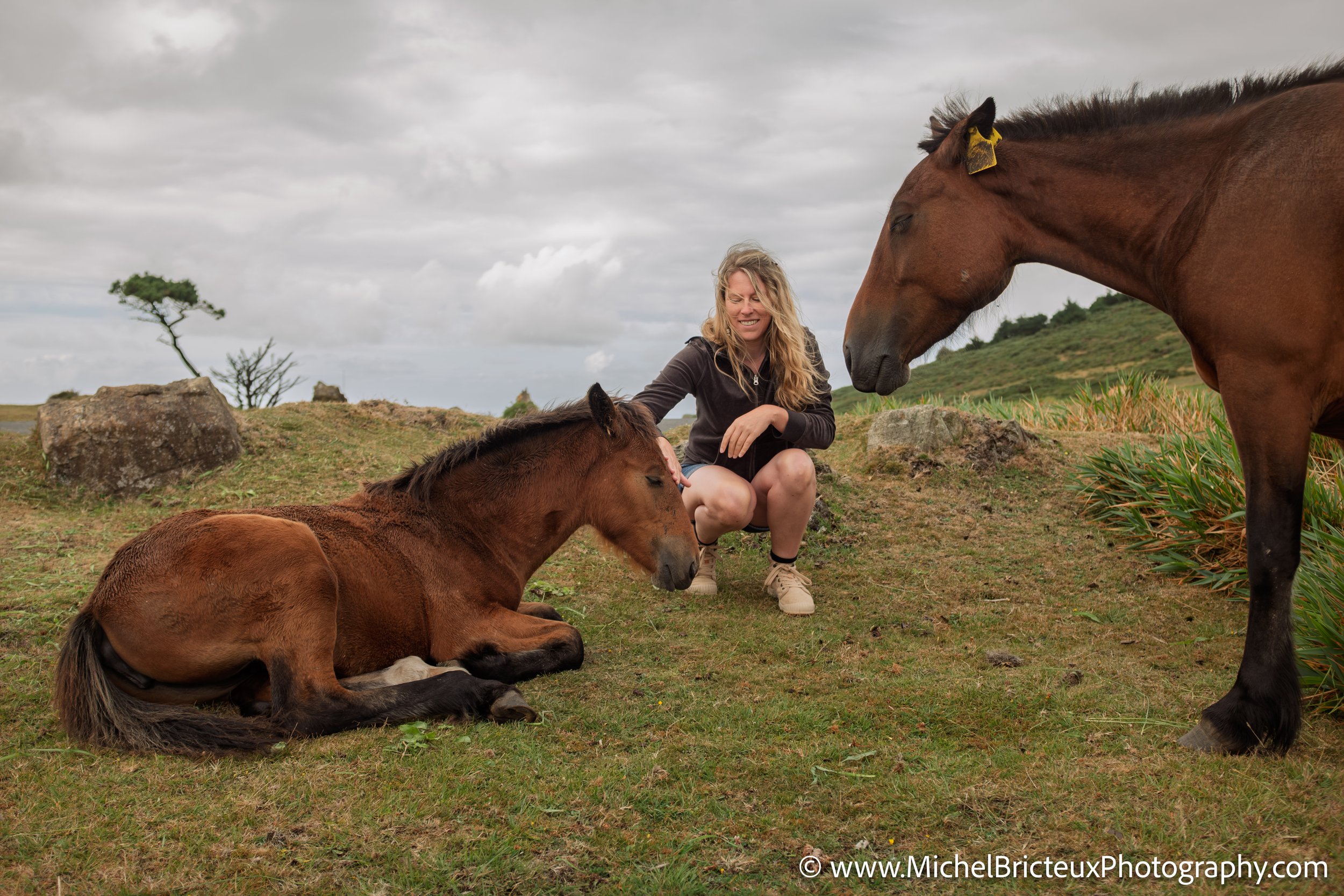 Los últimos caballos salvajes de la Serra da Groba