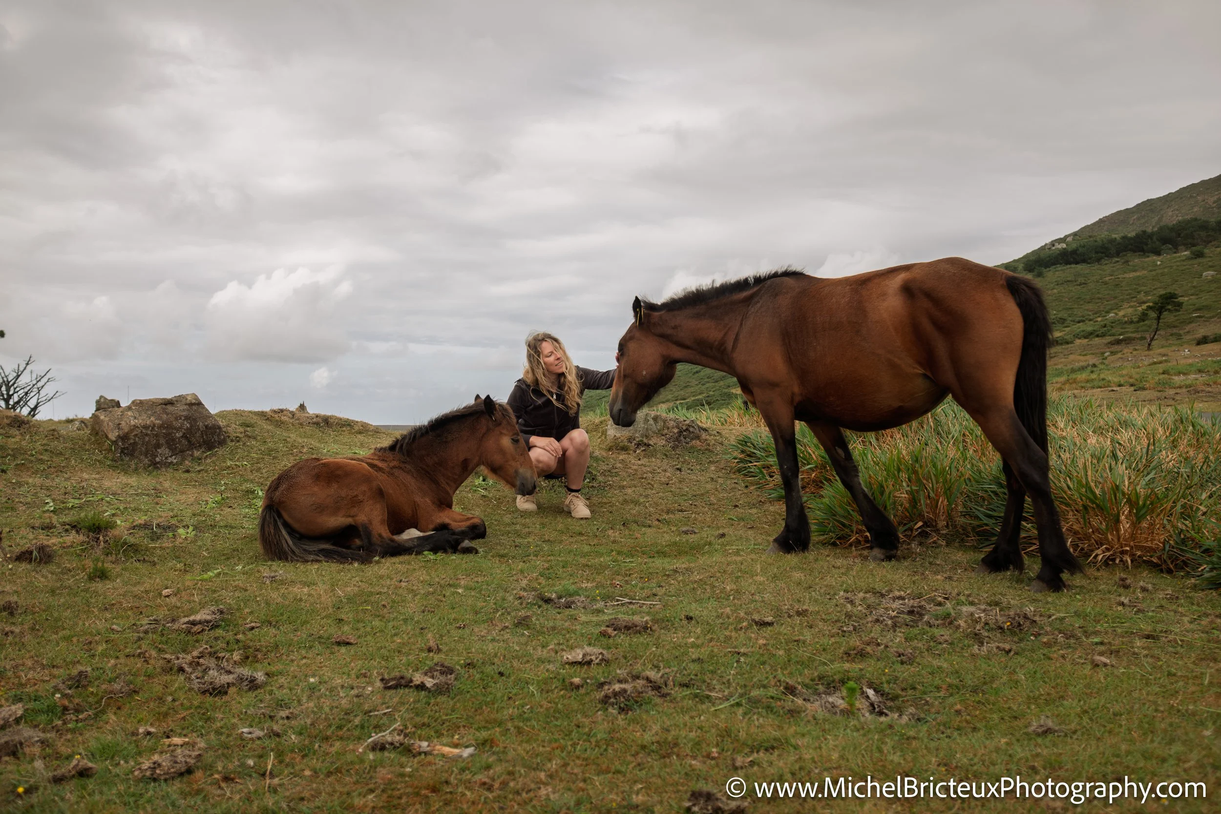 Los últimos caballos salvajes de la Serra da Groba