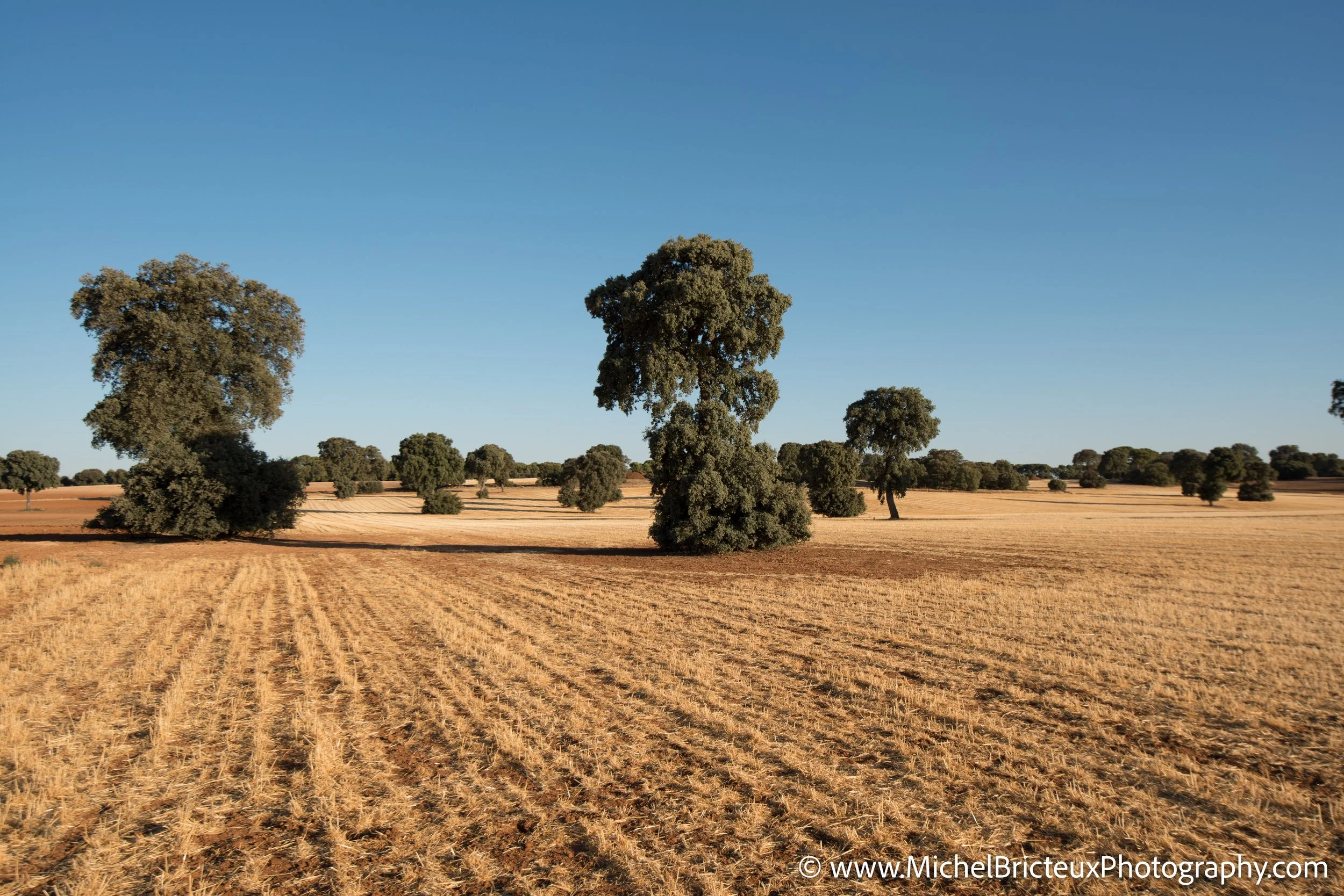 ES-Castilla-La Mancha 2012 9256 LowRes.jpg