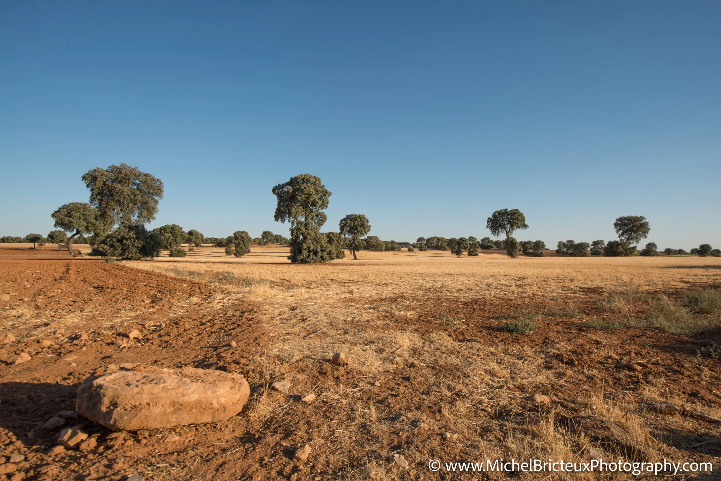 ES-Castilla-La Mancha 2012 9255 LowRes.jpg