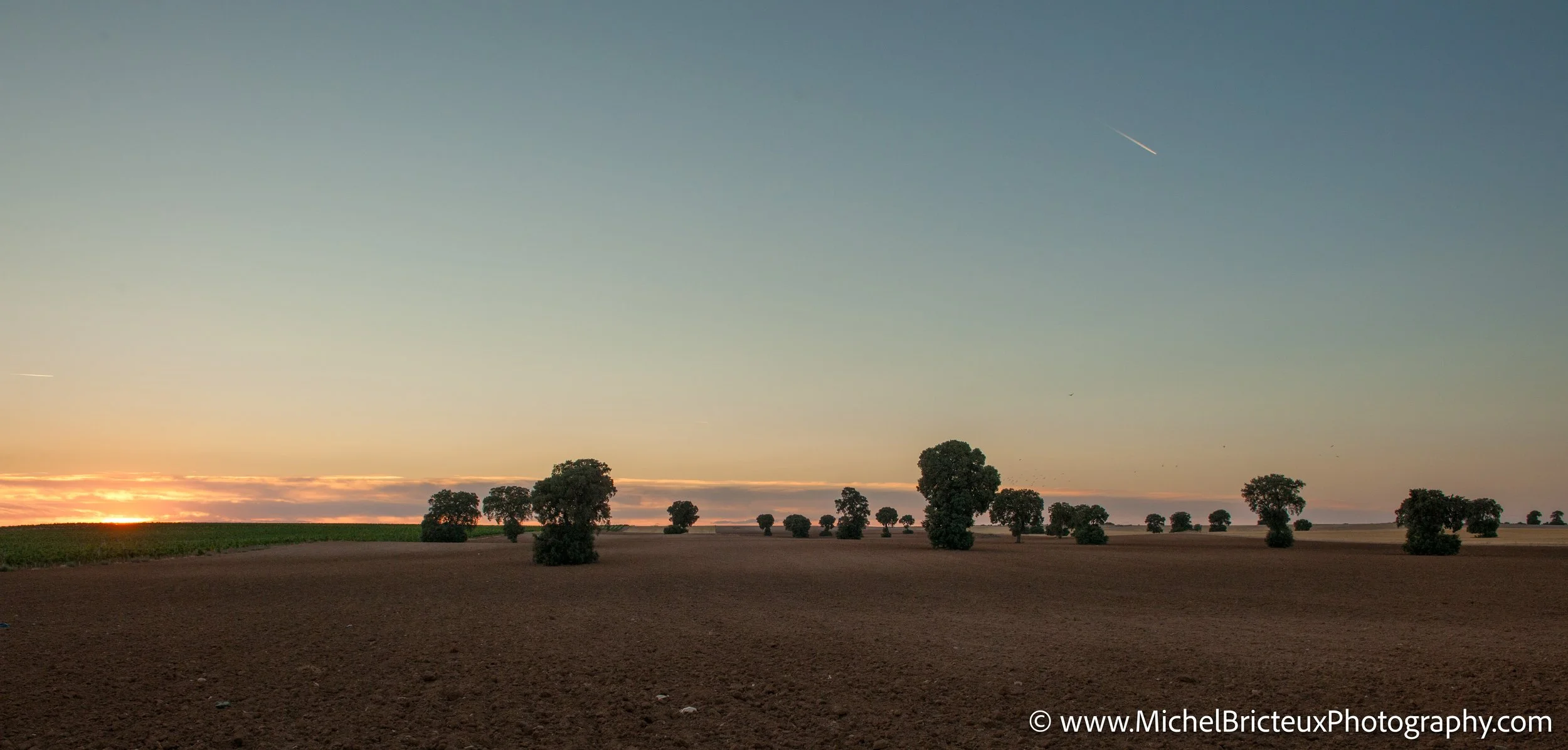 ES-Castilla-La Mancha 2012 1579 LowRes.jpg