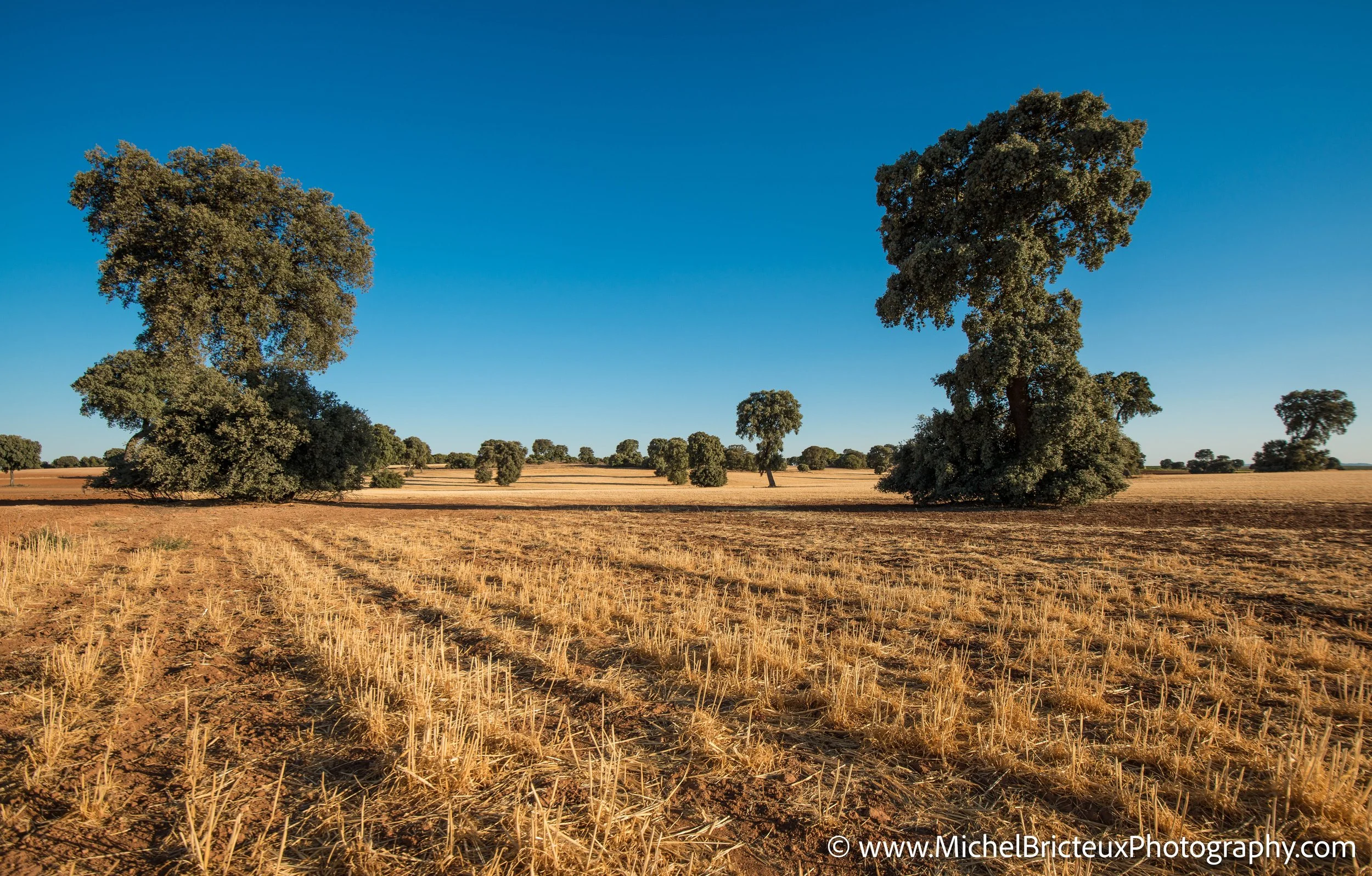 ES-Castilla-La Mancha 2012 9260 LowRes.jpg