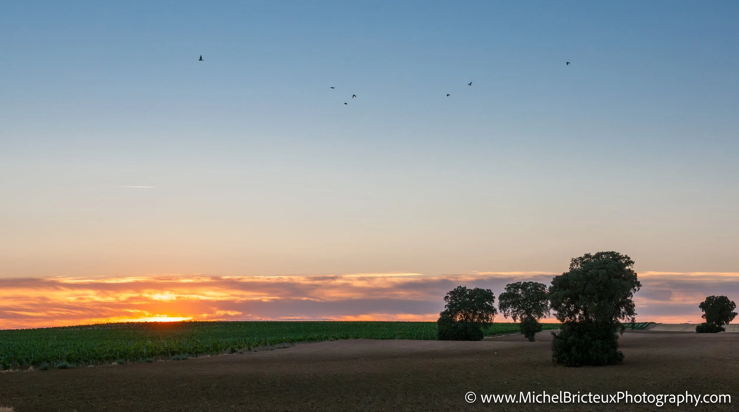 ES-Castilla-La Mancha 2012 1584 LowRes.jpg