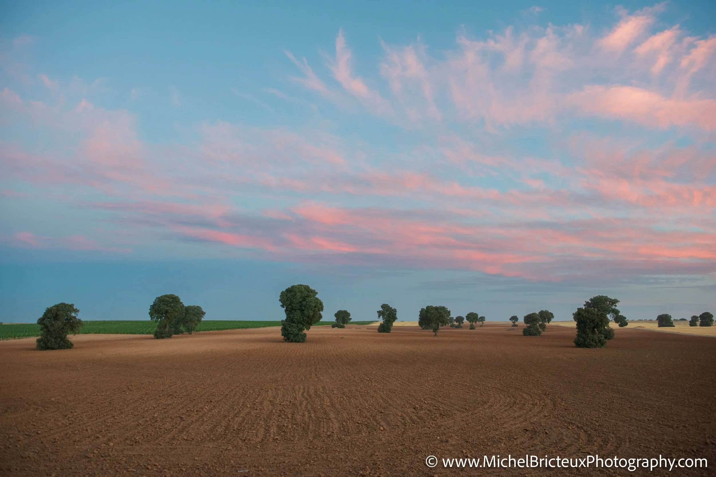 ES-Castilla-La Mancha 2012 9411 LowRes.jpg