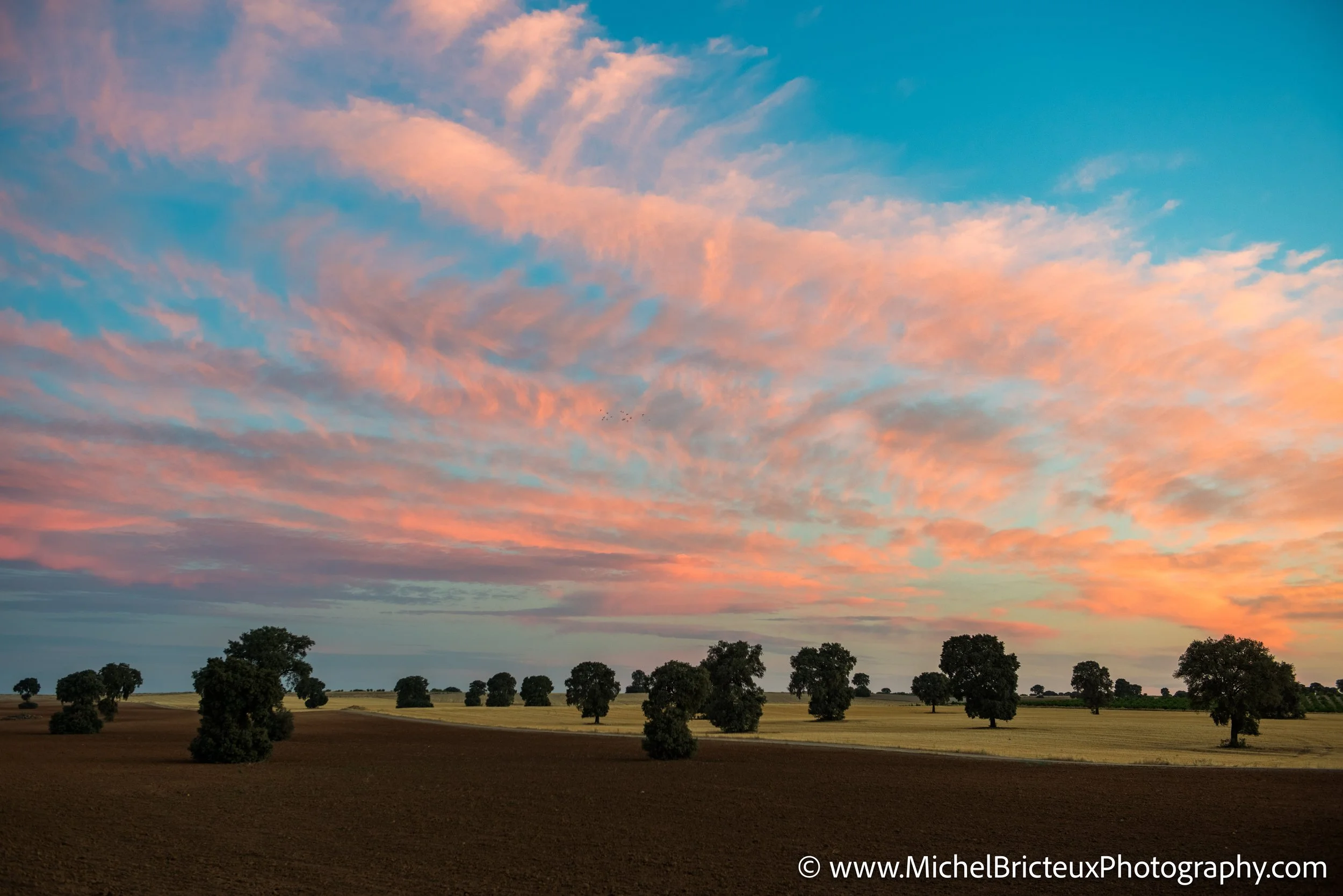 ES-Castilla-La Mancha 2012 9417-HDR LowRes.jpg