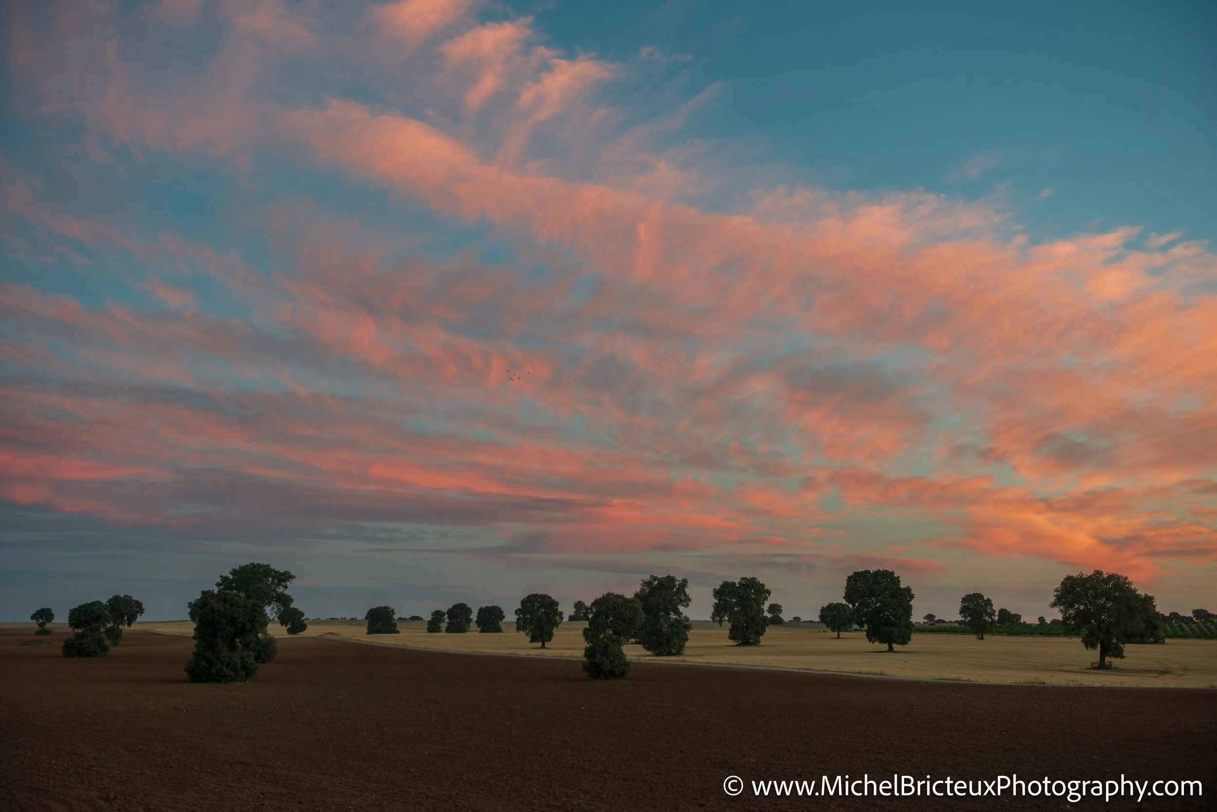 ES-Castilla-La Mancha 2012 9417 LowRes.jpg
